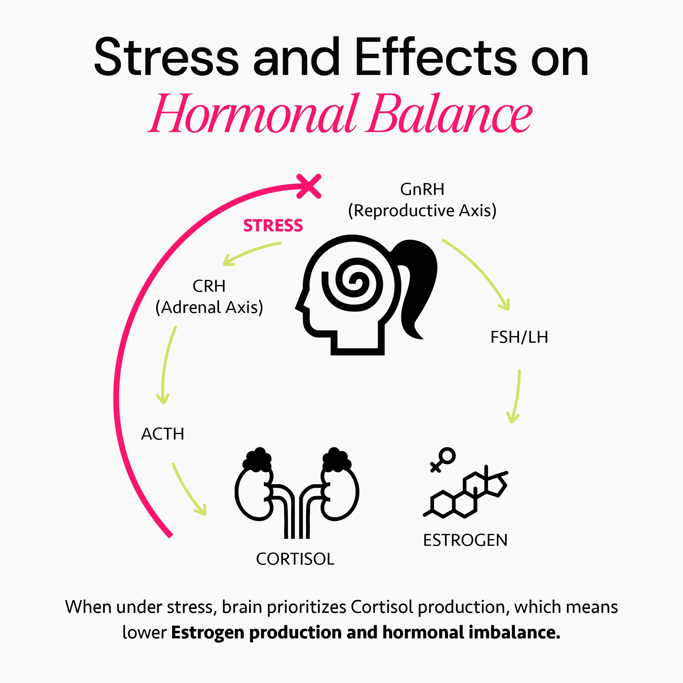 Ayurvedic Hormone Balance for Women | Cortisol Reducer | Mood, Energy, & Sleep Support | Regulates Estrogen | Stress Relief | Ashwagandha, Rhodiola, & Shatavari