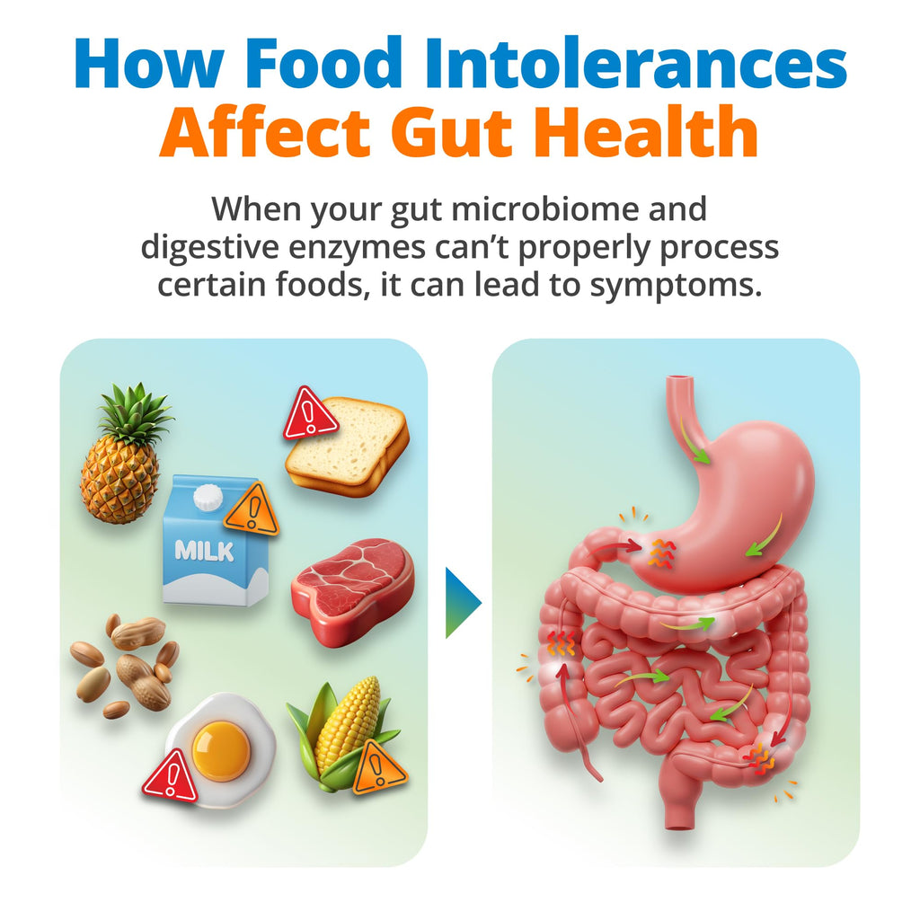 5Strands Gut Health Test for Adults & Kids, 500+ Items Tested, At-Home Hair Sample Screening for Food Intolerances Linked to Digestive Issues, Skin Irritation, Brain Fog & Headaches, Results in 4 Days 5Strands Au supplements