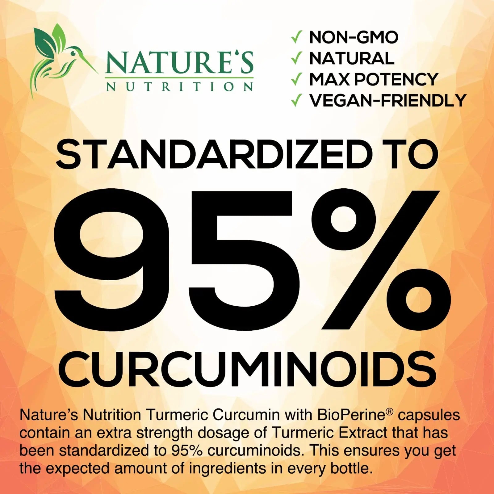 Turmeric Curcumin with BioPerine & Ginger 95% Standardized Curcuminoids 1950mg Nature's Nutrition Au supplements