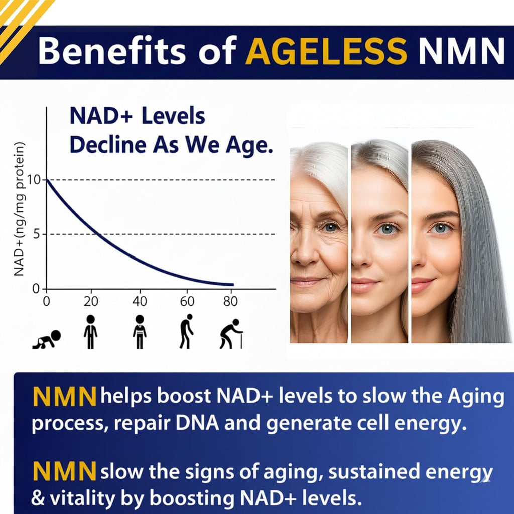 NMN Supplement 500mg Nicotinamide Mononucleotide | Supports NAD+ Levels, Energy, Cognitive Function, Muscle Health & Healthy Body Composition – Capsules (30) Ageless Foundation Laboratories Au supplements