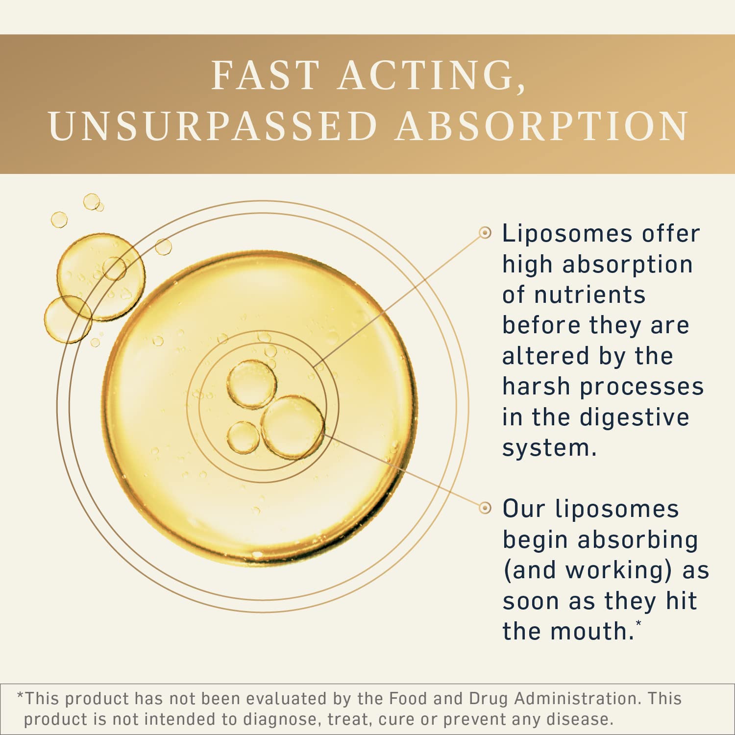 Quicksilver Scientific Liposomal GABA + L Theanine - Calm, Stress Response & Brain Support - Bioavailable GABA Supplement with L Theanine 100mg (1.7oz/50ml) Quicksilver Scientific Au supplements