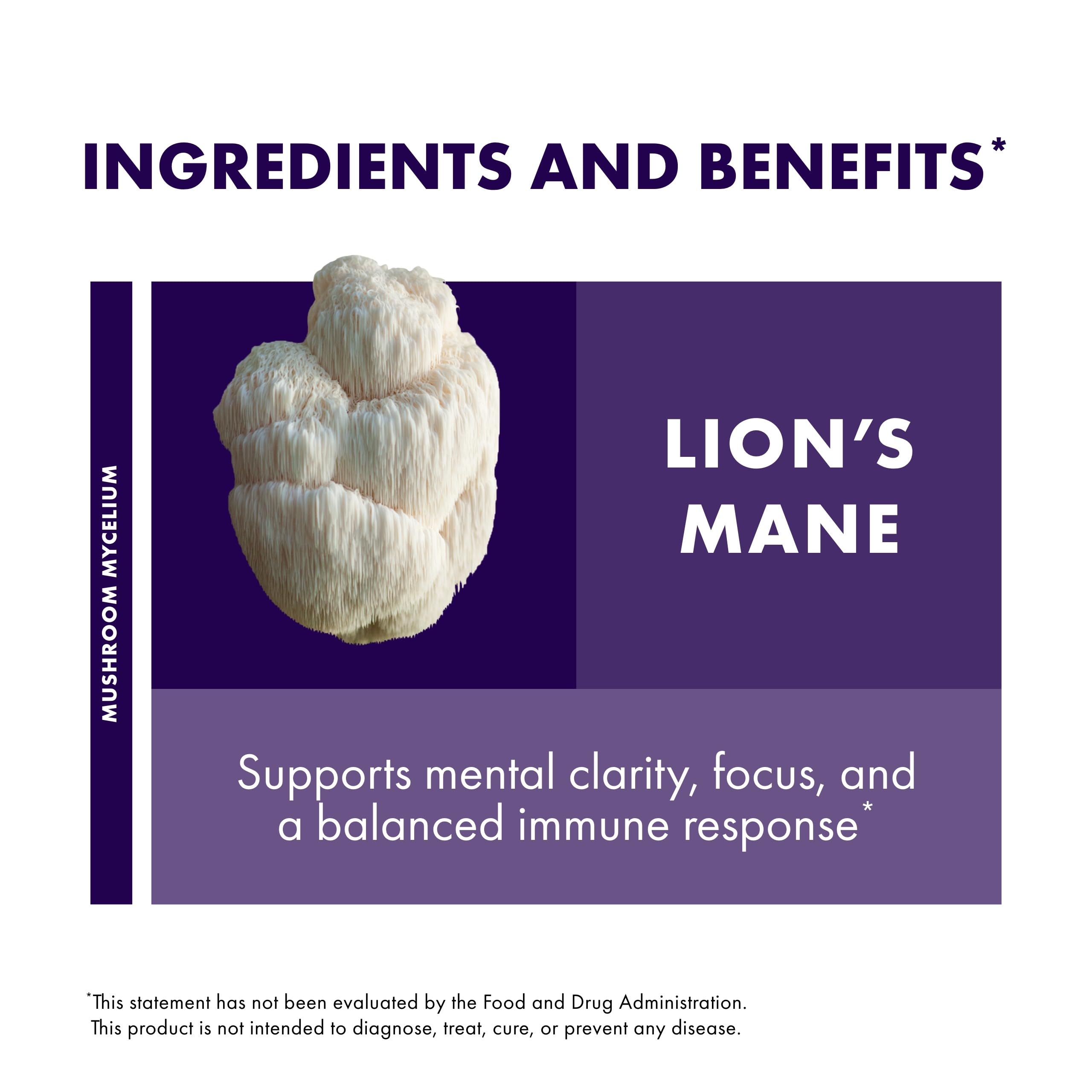 Host Defense Mushrooms Lion's Mane - Brain Health Support Supplement for Focus & Memory Function - Immune & Nervous System Support Supplement- 30 Capsules Host Defense Au supplements