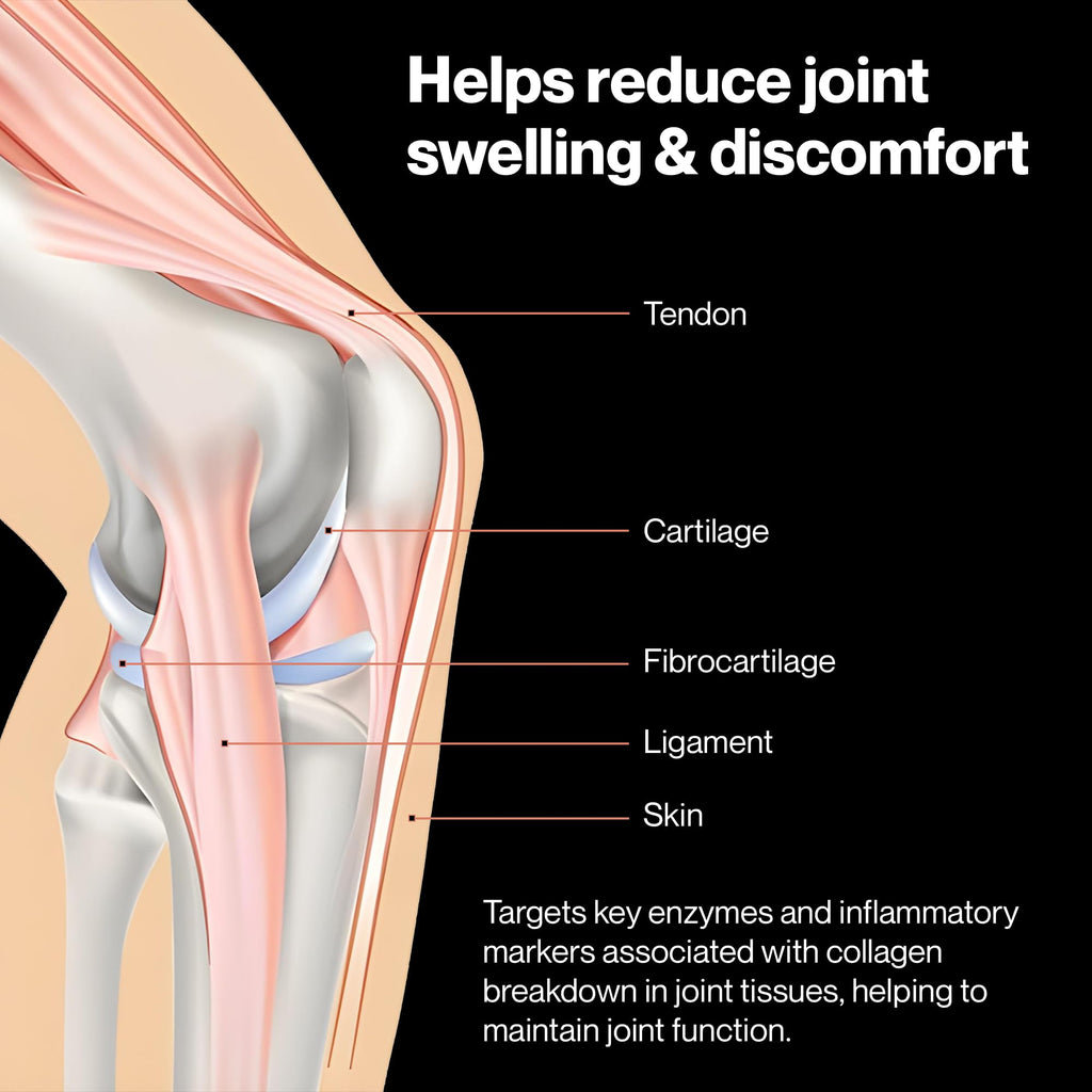 PUREFUNCTION Collagen Repair Joint Support Supplement - Boswellia, Turmeric, Hyaluronic Acid, EGCG, and Undenatured Collagen for Joint Maintenance and Repair - 60 Capsules PUREFUNCTION Au supplements