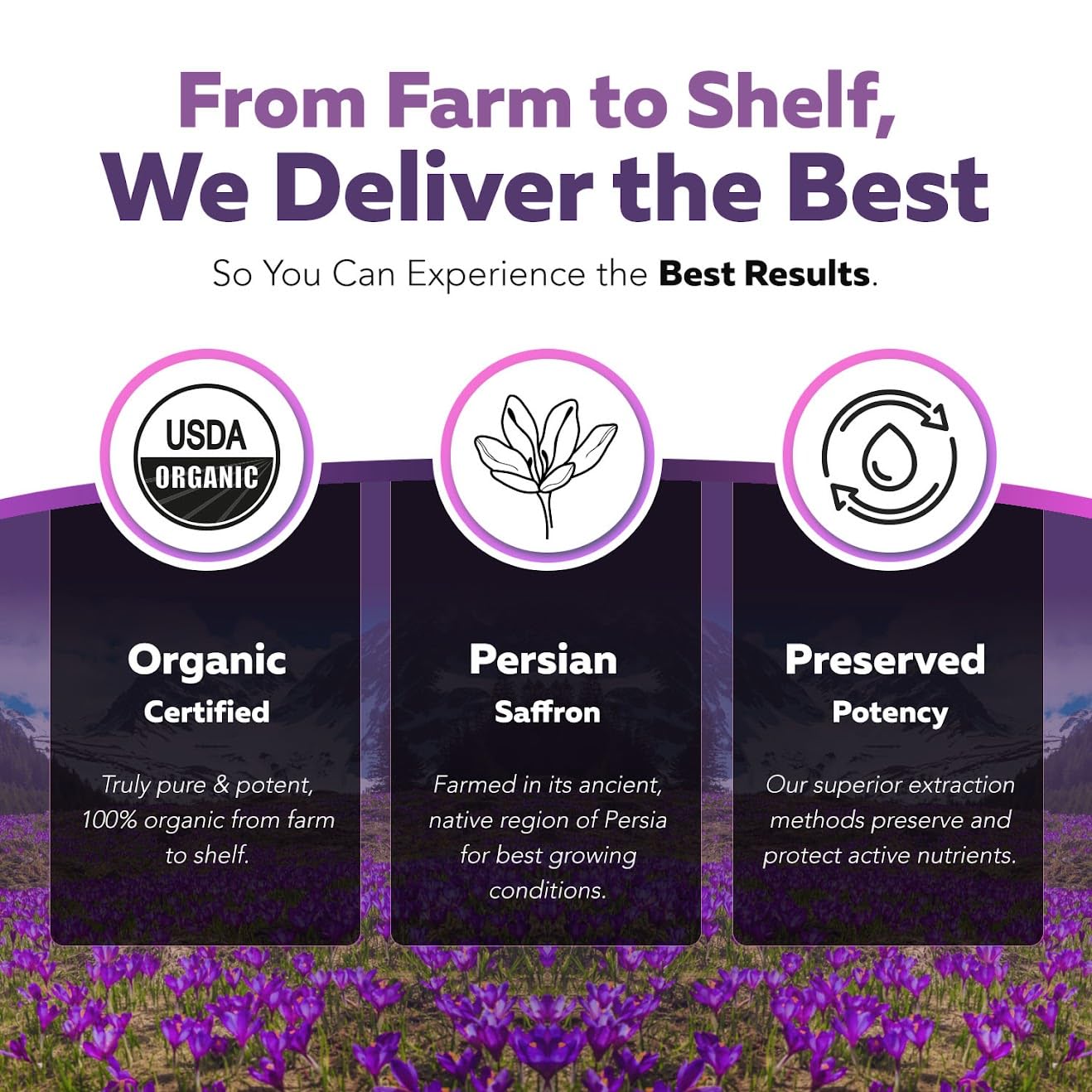 Organic Saffron Extract: Optimized Extract with Safromotivines, Safranal, and Crocins – Clinically Studied | Premium Persian Sargol Quality | Supports Mood,