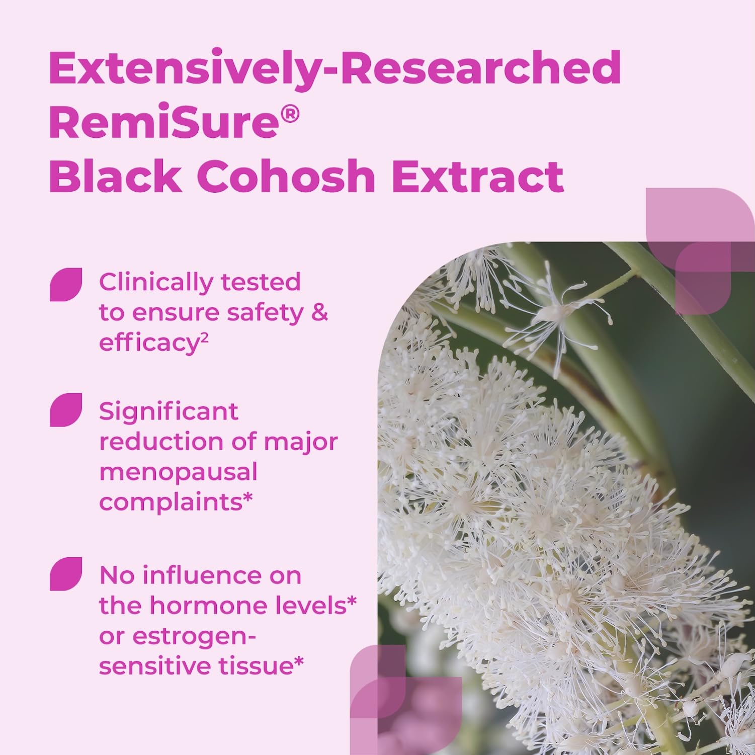 Remifemin Menopause Symptoms Relief - Clinically Proven Ingredients - Menopause Supplements - Black Cohosh - Estrogen-Free - Made in Germany - 60 Tablets Remifemin Au supplements