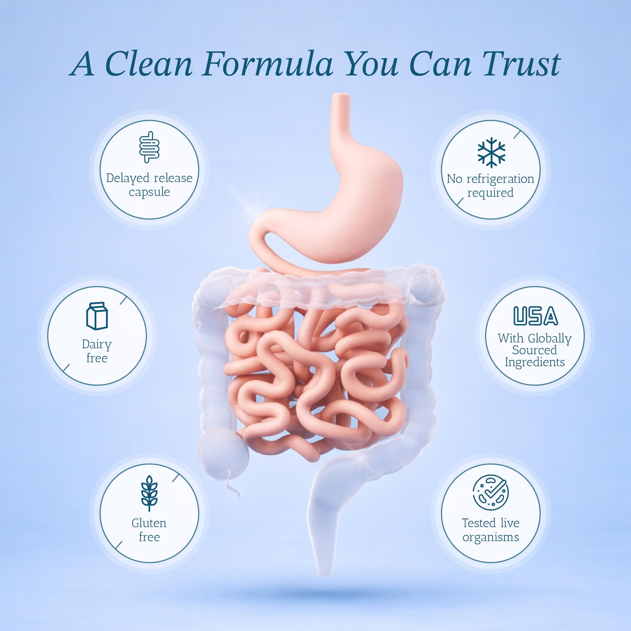 Vitamin Bounty Pro-50 Probiotics 50 Billion CFU for Women & Men - 13 Multi Strain Probiotic + Prebiotic - Digestive Health Supplements for Gut Health Support - Delayed Release Capsules for Men & Women Vitamin Bounty Au supplements