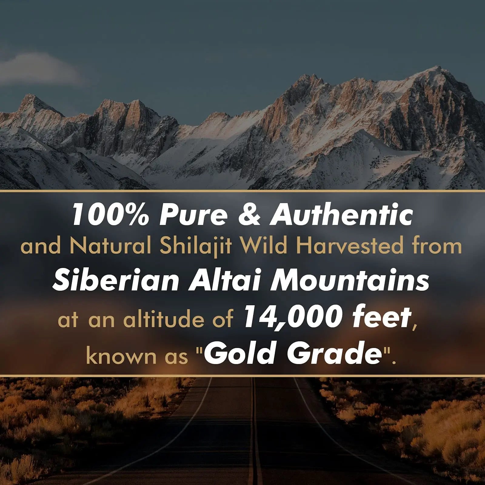 Shilajit Resin with Fulvic Acid & Trace Minerals, Original Siberian Pure Shilajit with 85+ Humic ALTAY MUMMIYO Au supplements