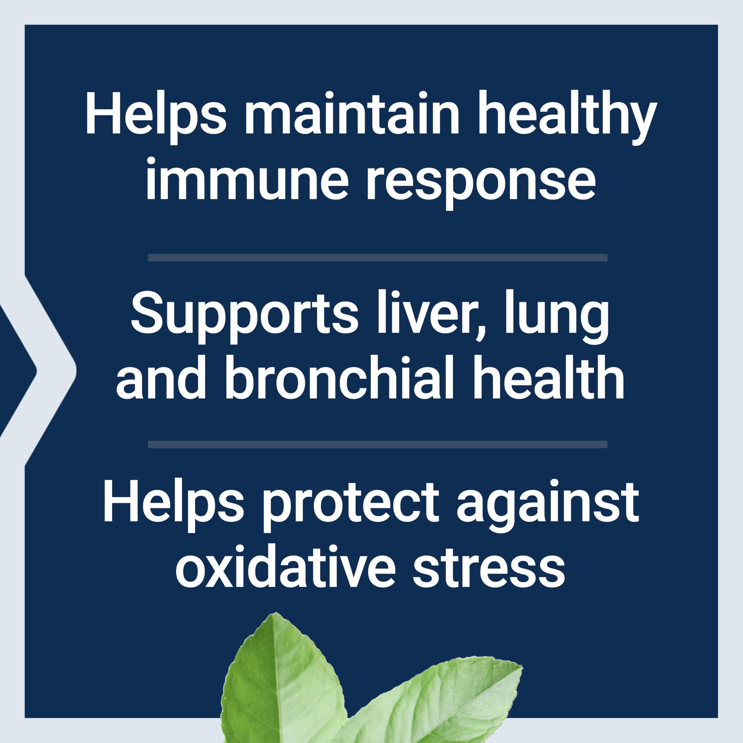 Life Extension N-Acetyl-L-Cysteine (NAC), Immune, Respiratory, Liver Health, NAC 600 mg, Potent antioxidant Support
