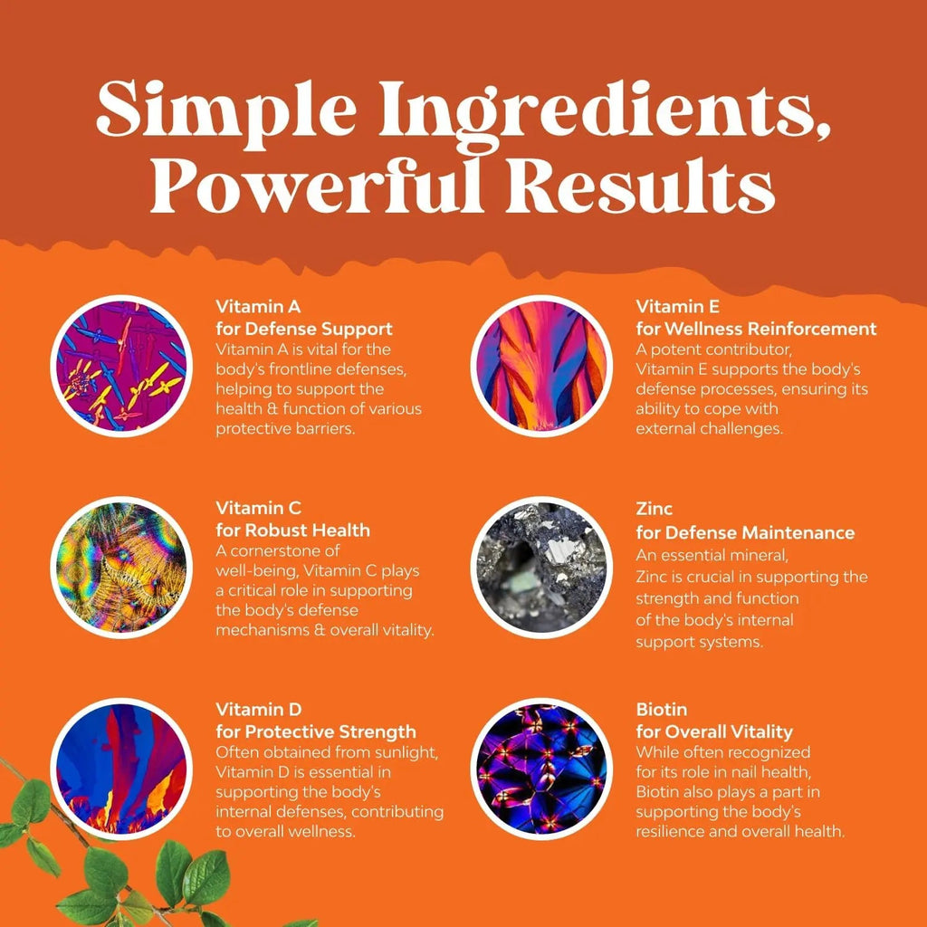 Potent Daily Multivitamin Gummies for Adults - Wellness Blend of Vitamin D A C E B12 Zinc and Biotin - Adult Vitamin Gummy for Energy and Immune Health Natures Craft Au supplements