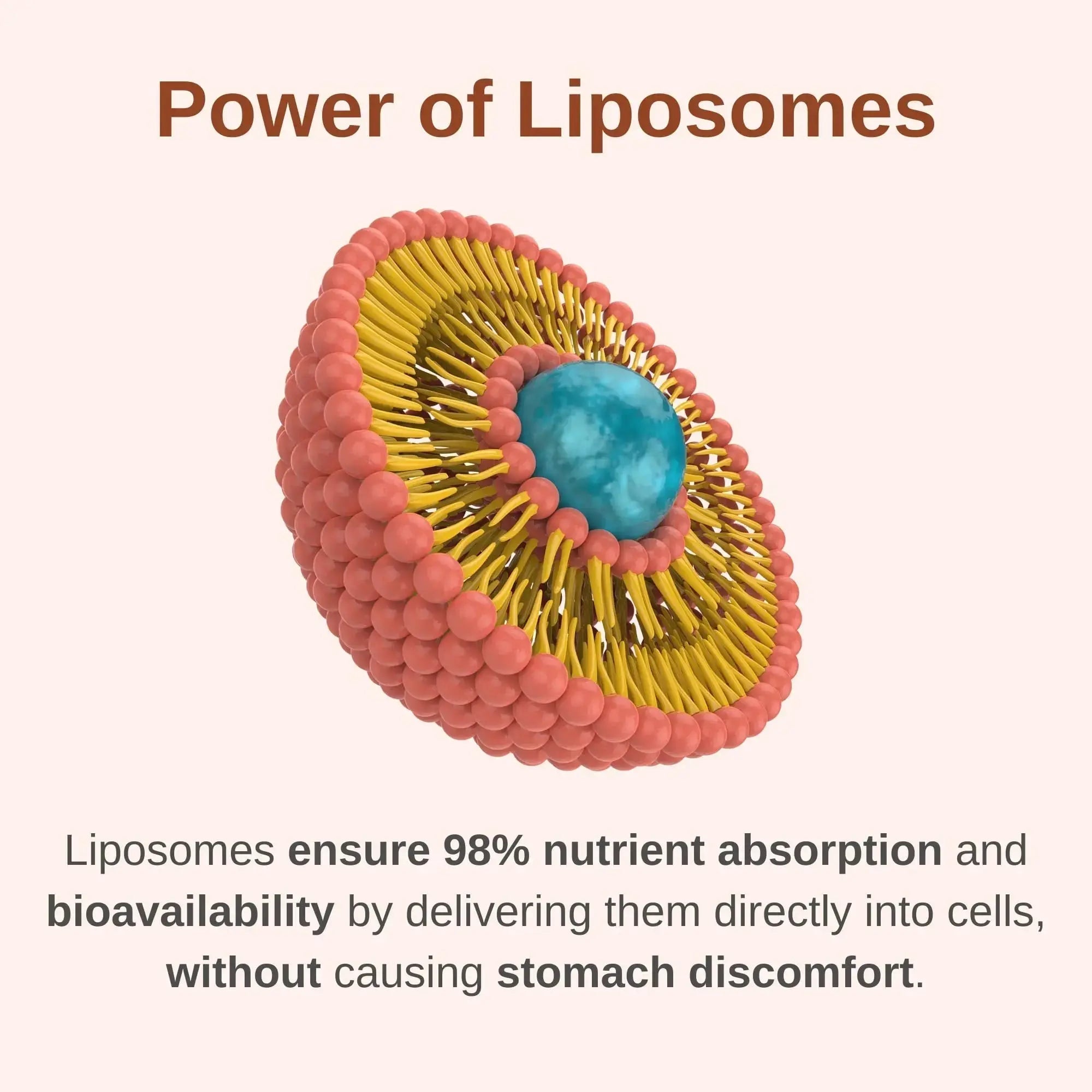Vitaminally Liposomal Men's 50+ Liquid Multivitamin Drops | Non-GMO | Sugar Free | Gluten Free | 30 Day Supply | 3 FL Oz | Vitaminally Au supplements