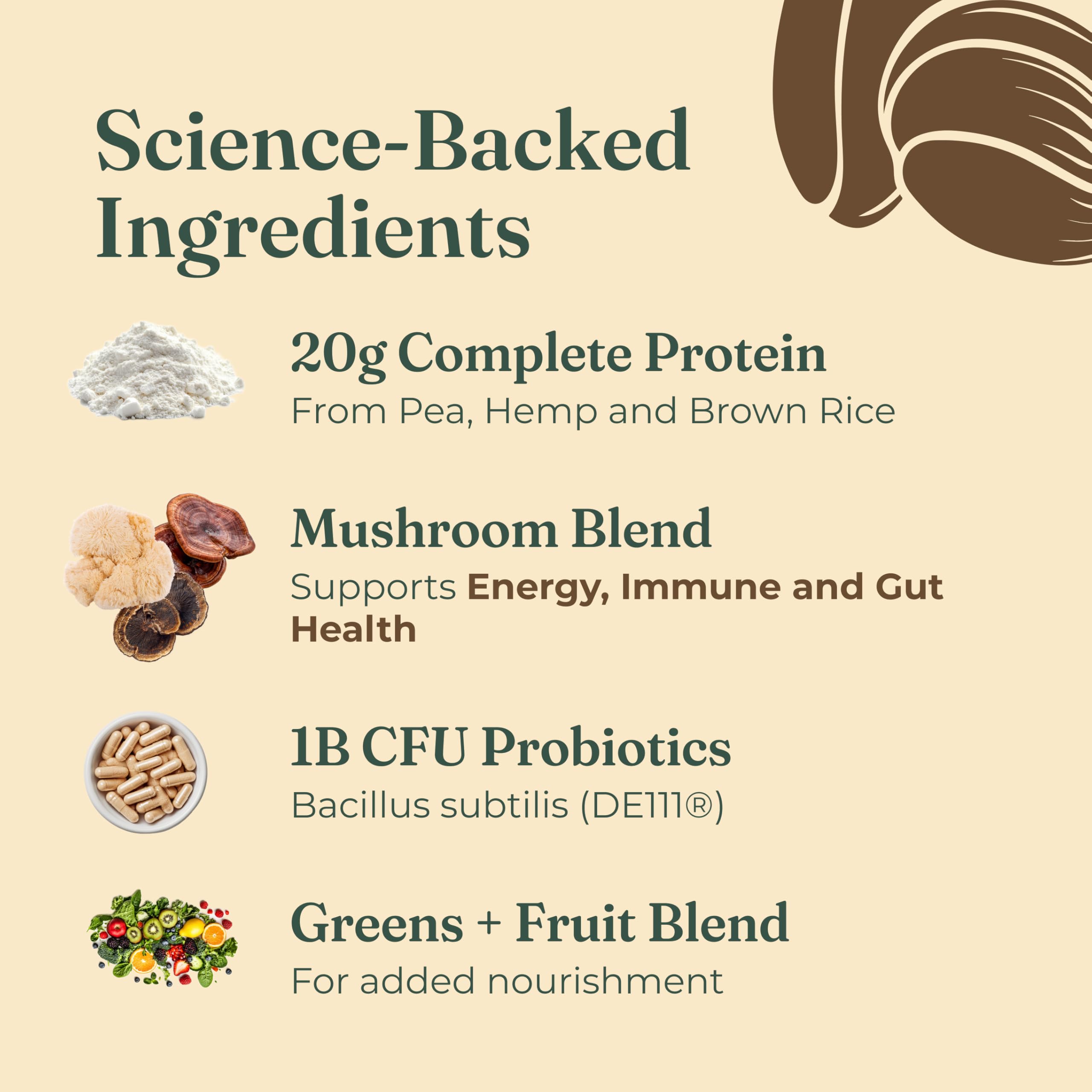 Four Sigmatic Organic Plant-Based Protein Powder | Clean Vegan Protein Elevated with Lion’s Mane, Chaga, Cordyceps and More for Brain Function and Immune Support | Creamy Cacao, 21.16 oz