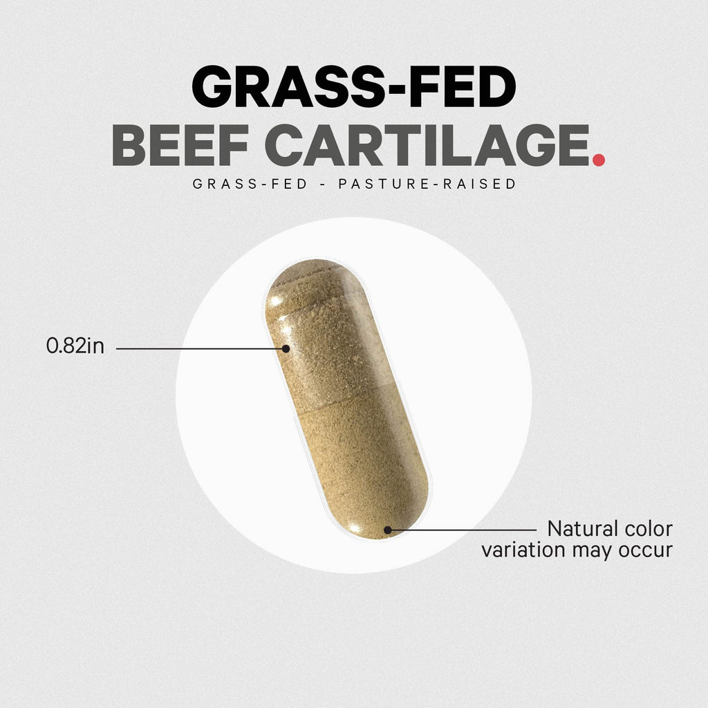 Codeage Grass Fed Beef Cartilage Supplement - Freeze Dried, Non-Defatted, Desiccated Beef Tracheal Bovine Cartilage & Liver Pills – Pasture Raised Argentina Beef Vitamins - Non-GMO -180 Capsules Codeage Au supplements