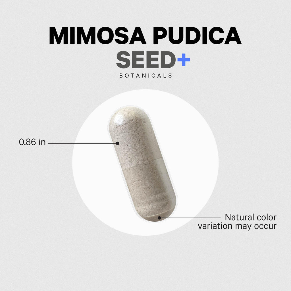 Codeage Organic Mimosa Pudica Seed Capsules - Mimosa Pudica Seeds Supplement - Black Walnut, Cloves, Vidanga, Neem, BioPerine - All in One - Sensitive Plant Pills - Non-GMO & Vegan - 120 Capsules Codeage Au supplements