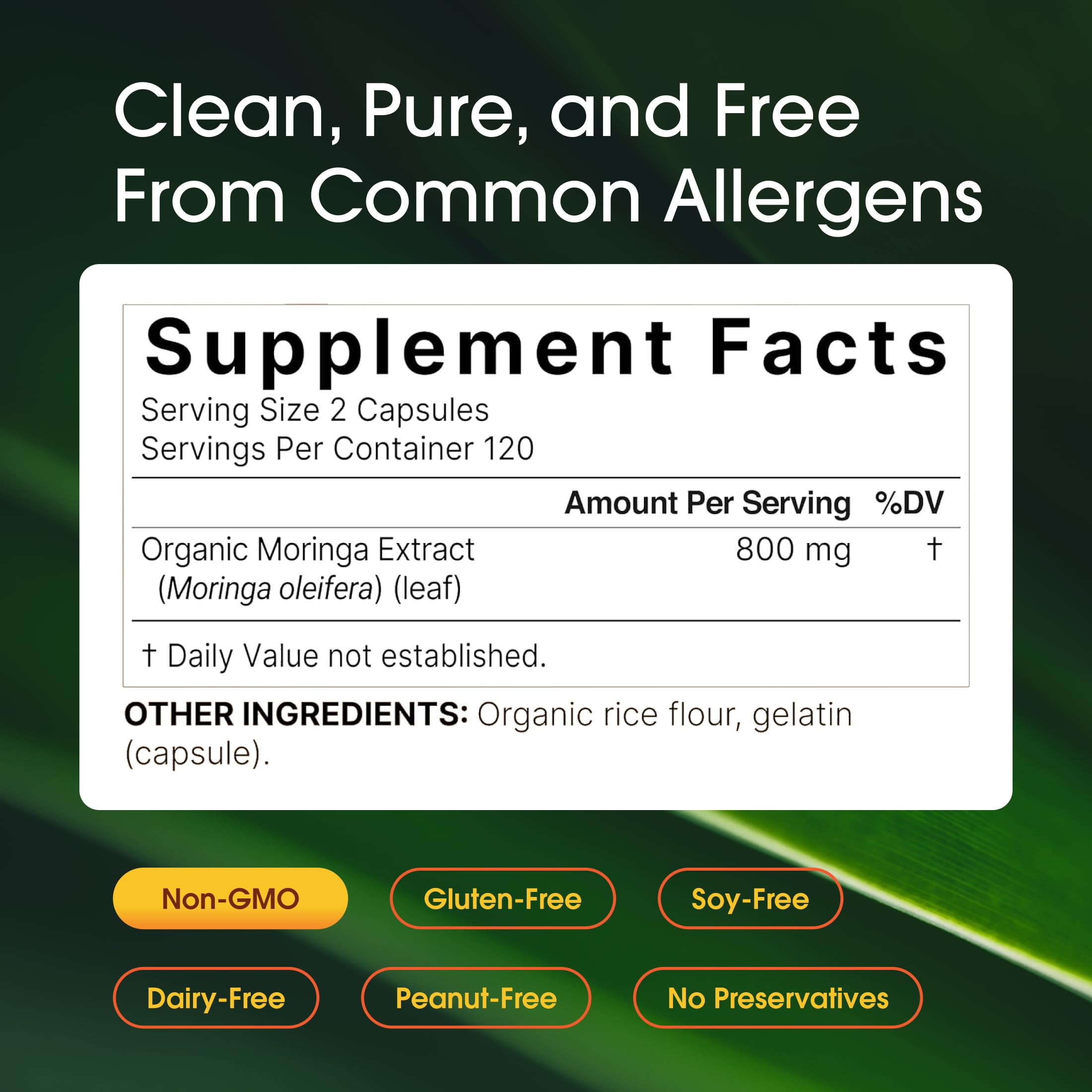 NatureBell Moringa - 240 Capsules - Organic Moringa for Immune, Energy & Skin Health Support - Green Superfood Properties
