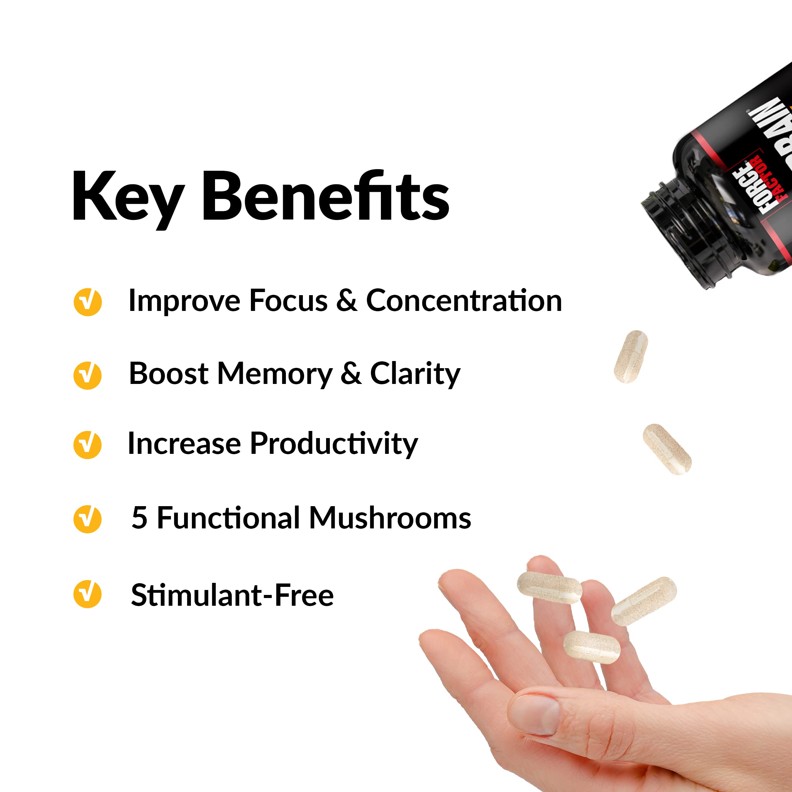 Forebrain Focus Brain Booster, Brain Supplement to Boost Clarity & Concentration, Improve Memory & Sharpness & Productivity, Nootropic Brain Support Supplement, Force Factor, 120 Capsules, Black Force Factor Au supplements