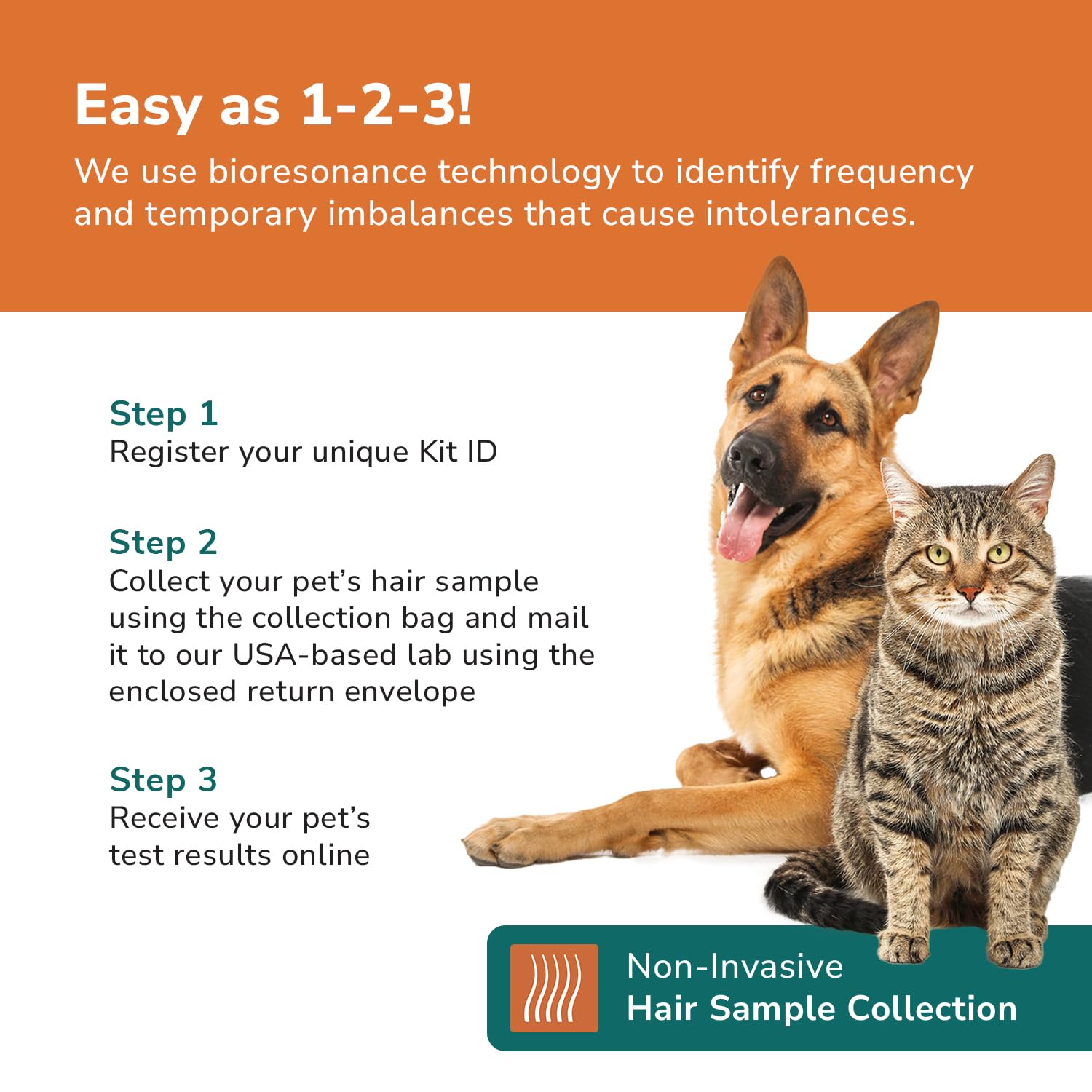 TotalVet Dog Allergy +1000 Food & Nutritional Sensitivity Test, Pet Intolerance Kit at Home — Advanced Complement to DNA Tests for Complete Pet Wellness TotalVet Au supplements