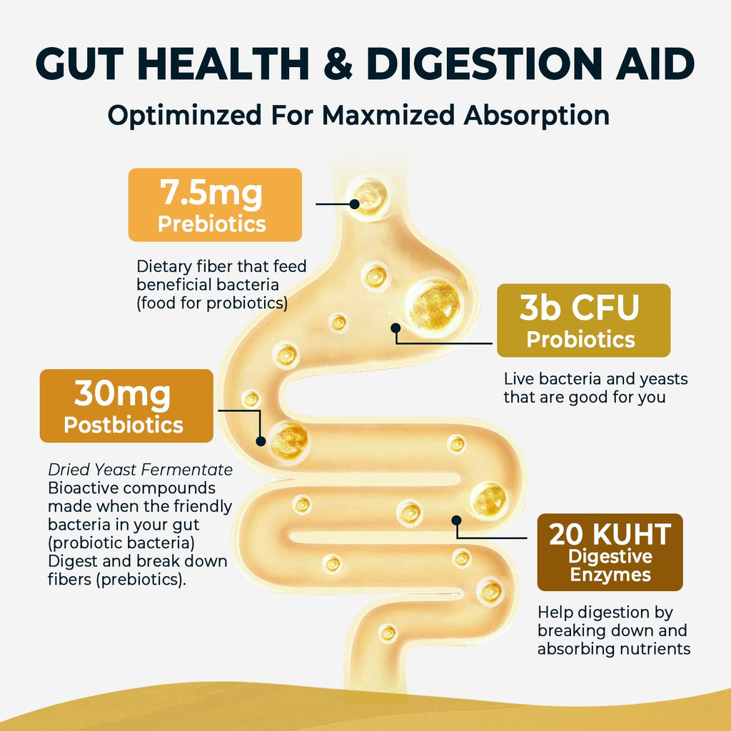 4-in-1 Prebiotic Probiotic & Postbiotic for Women & Men, Complete Gut & Digestive Support Supplement, Pre Post Probiotics & Digestive Enzymes 60 Capsules,Made in USA Divinity Nutra Au supplements