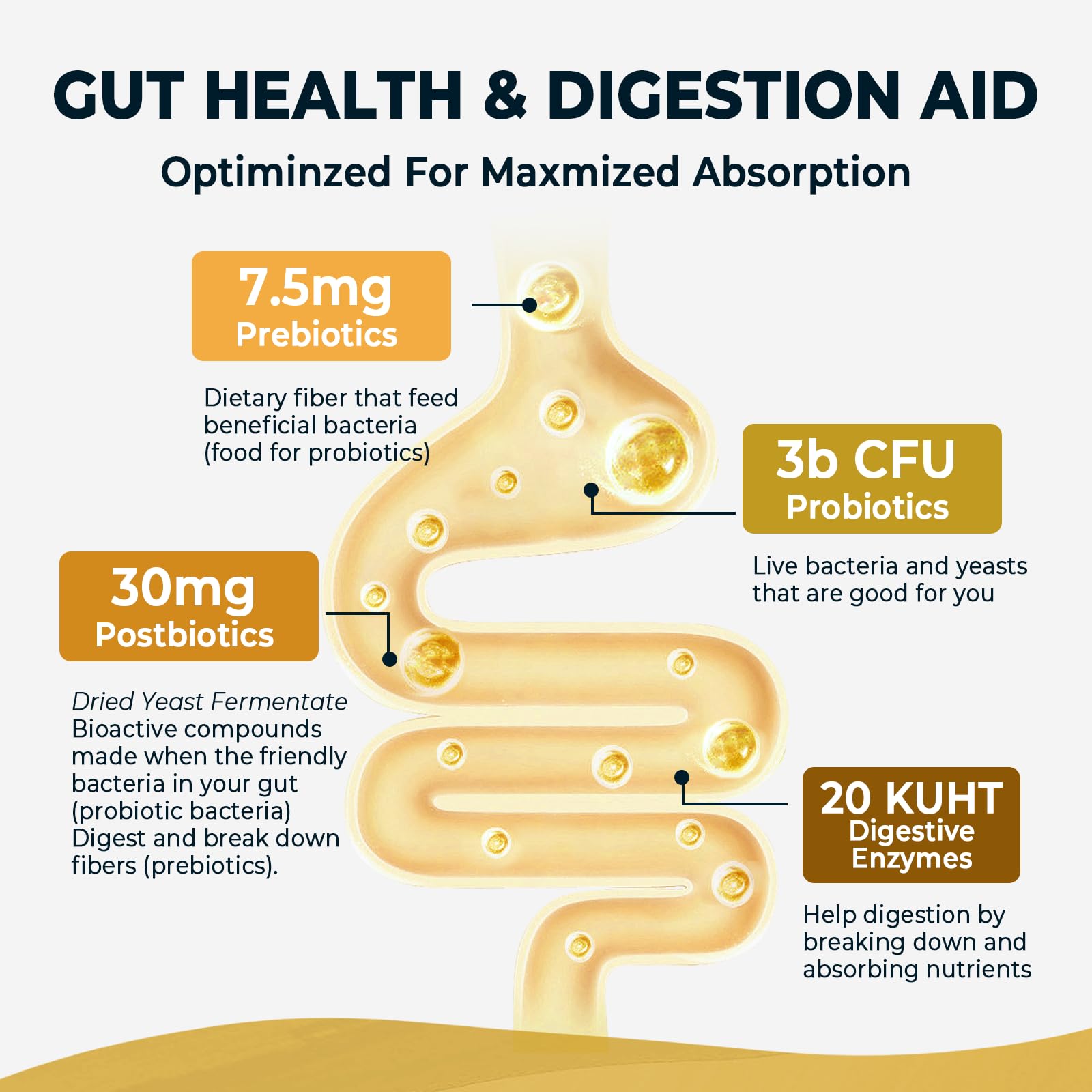 4-in-1 Prebiotic Probiotic & Postbiotic for Women & Men, Complete Gut & Digestive Support Supplement, Pre Post Probiotics & Digestive Enzymes 60 Capsules,Made in USA Divinity Nutra Au supplements