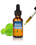 Herb Pharm Organic Nootropic Brain & Memory Supplement with Ginkgo Biloba Liquid Extract: Fast Absorption for Mental Focus Support, Ginkgo Supplement, Vegan, Gluten-Free, Non-GMO, 1 Oz Herb Pharm Au supplements