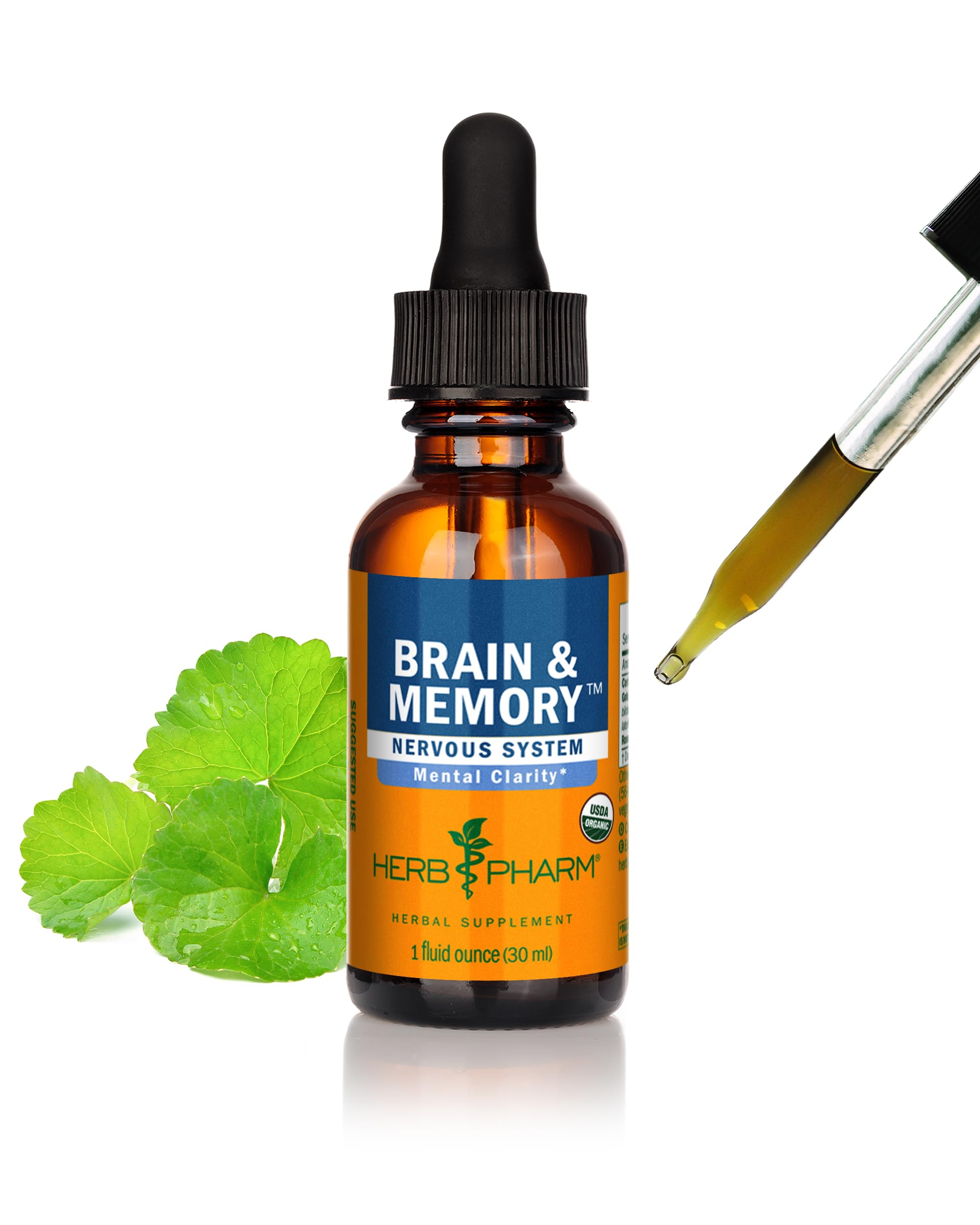 Herb Pharm Organic Nootropic Brain & Memory Supplement with Ginkgo Biloba Liquid Extract: Fast Absorption for Mental Focus Support, Ginkgo Supplement, Vegan, Gluten-Free, Non-GMO, 1 Oz Herb Pharm Au supplements
