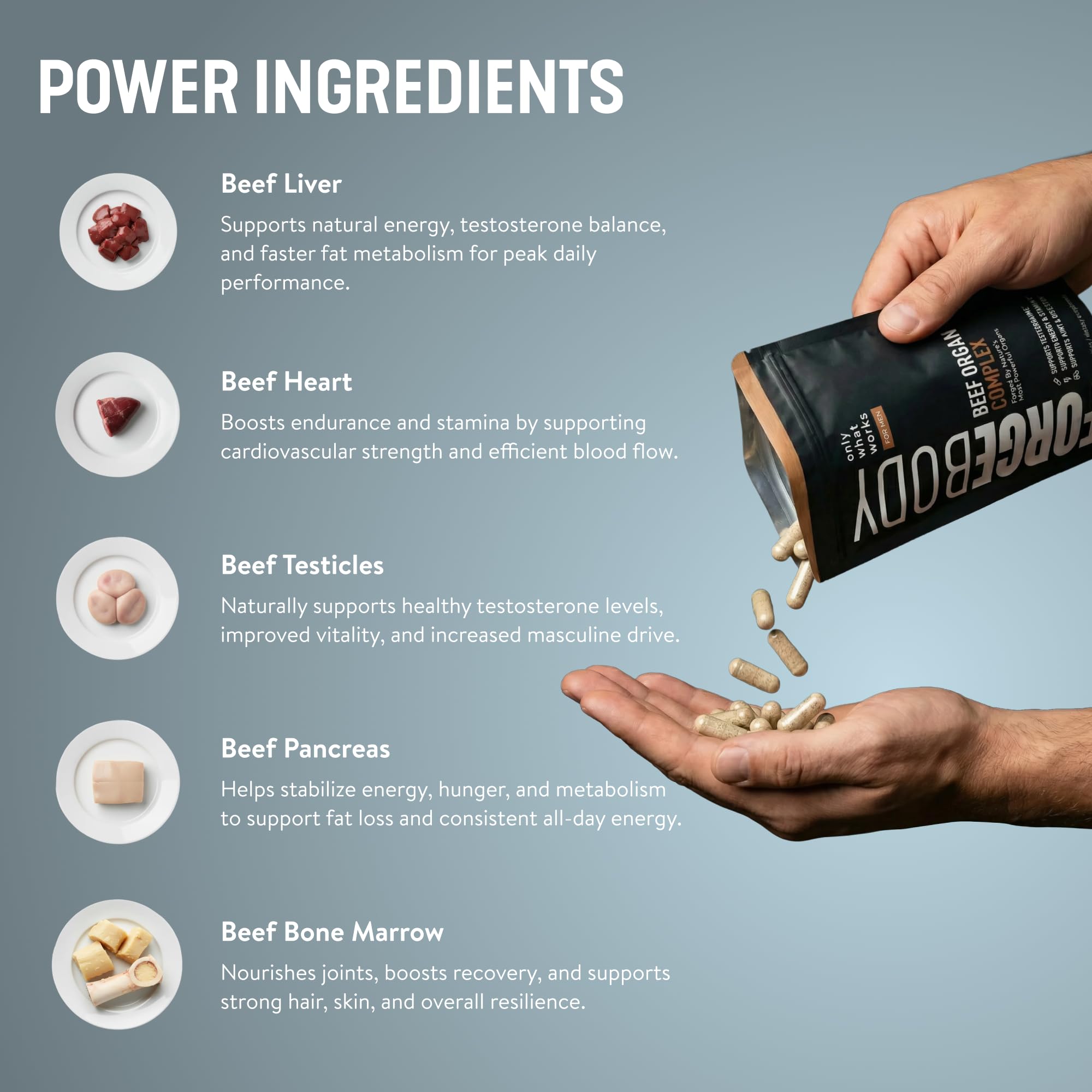 FORGEBODY® Beef Organ Complex Capsules [1 Month] - 100% Grass Fed Beef Organ Supplement with Blend of Liver, Heart, Bone Marrow, Pancreas & Testicles