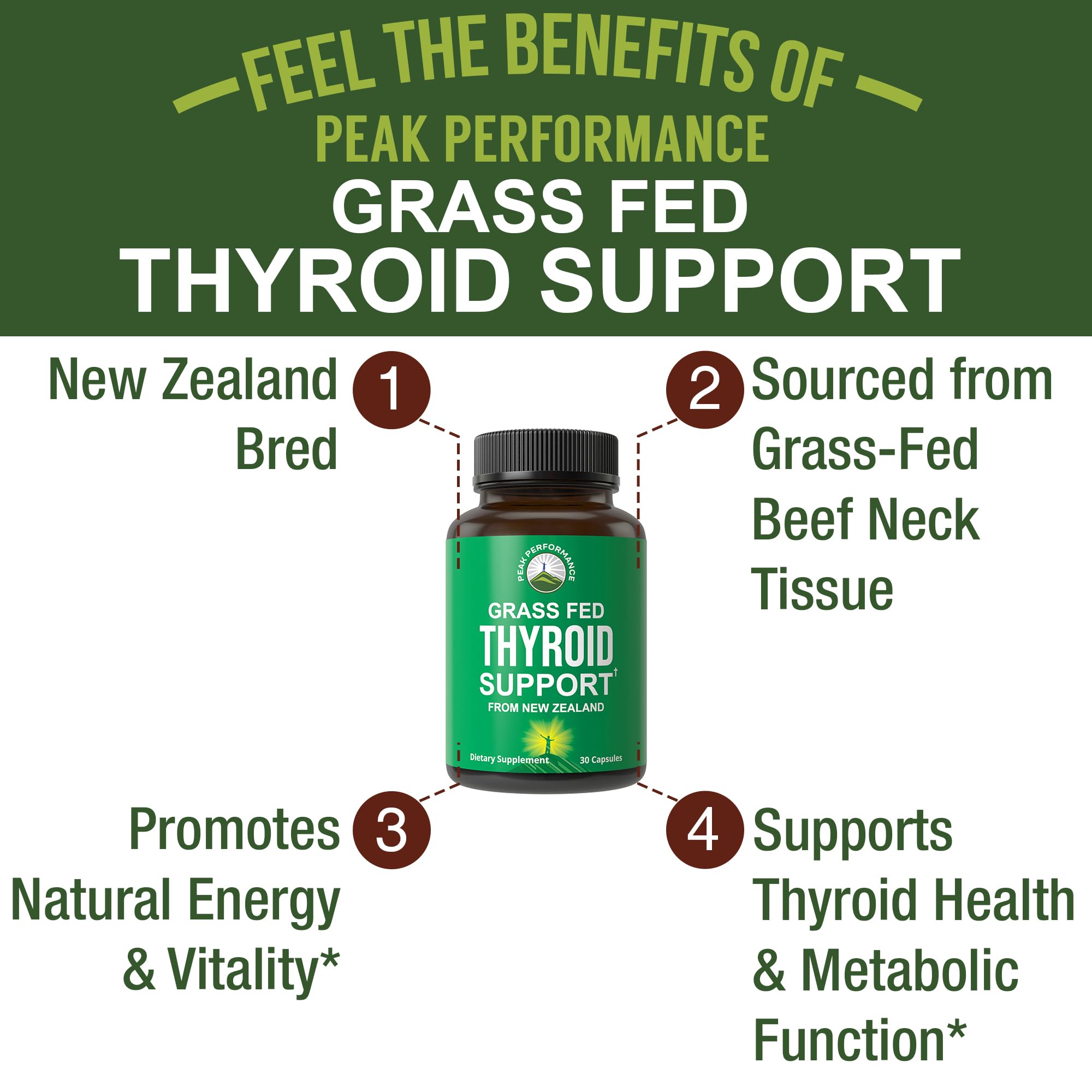 Raw Desiccated Thyroid Supplement. Grass Fed New Zealand Beef Neck & Thyroid Gland Capsules for Women and Men. Ancestral Living Ethically Sourced Bovine Supplements for Energy and Metabolism Support Peak Performance Au supplements