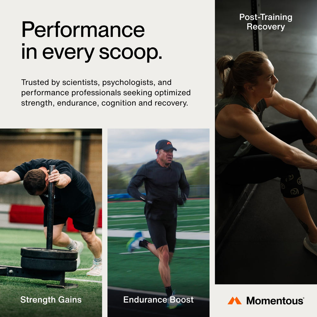 Momentous Creatine Monohydrate Powder - Creatine Powder - Supports Strength, Lean Muscle, & Recovery for Men & Women - NSF Certified for Sport - 5 g per Serving - 30 Servings