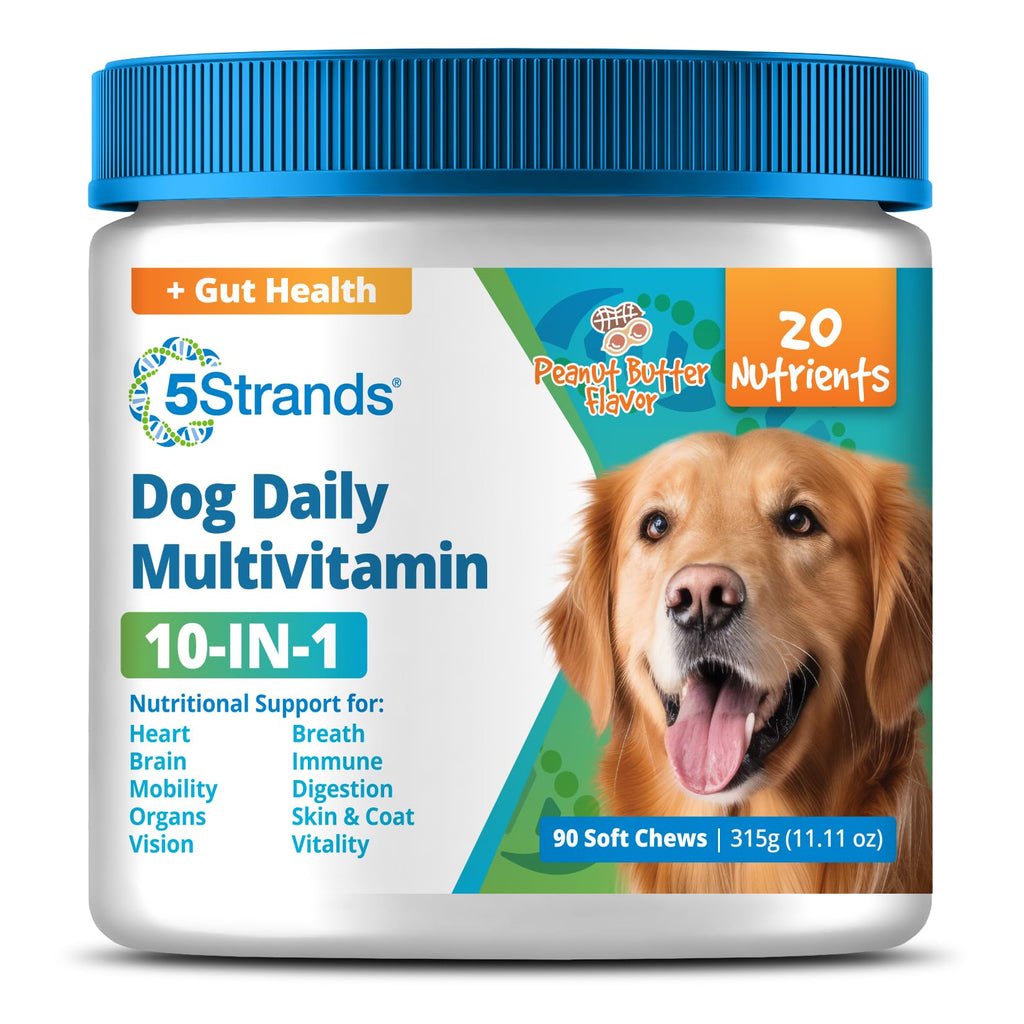 5Strands Dog Multivitamin Chews, 10-in-1, Vitamins & Postbiotics, All Ages & Breeds - Digestion, Brain, Organs, Heart, Mobility, Vision, Skin & Coat, Immunity - Dog Supplement (Peanut Butter, 90ct) 5Strands Au supplements