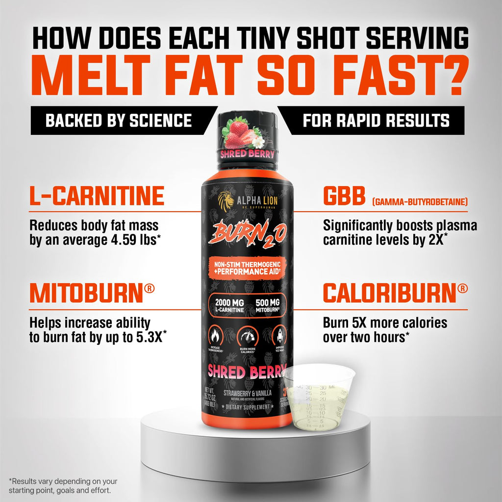 ALPHA LION Burn2O L-Carnitine Liquid 2000mg, Premium Liquid Fat Burner & Pre-Workout Supplement for Men & Women - Natural Energy & Metabolism Booster
