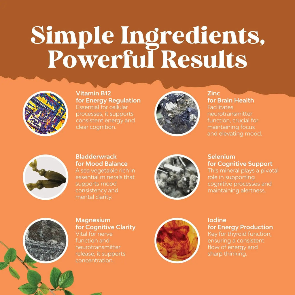 Herbal Thyroid Support Complex - Iodine Thyroid Supplement with L Tyrosine Bladderwrack Natures Craft Au supplements