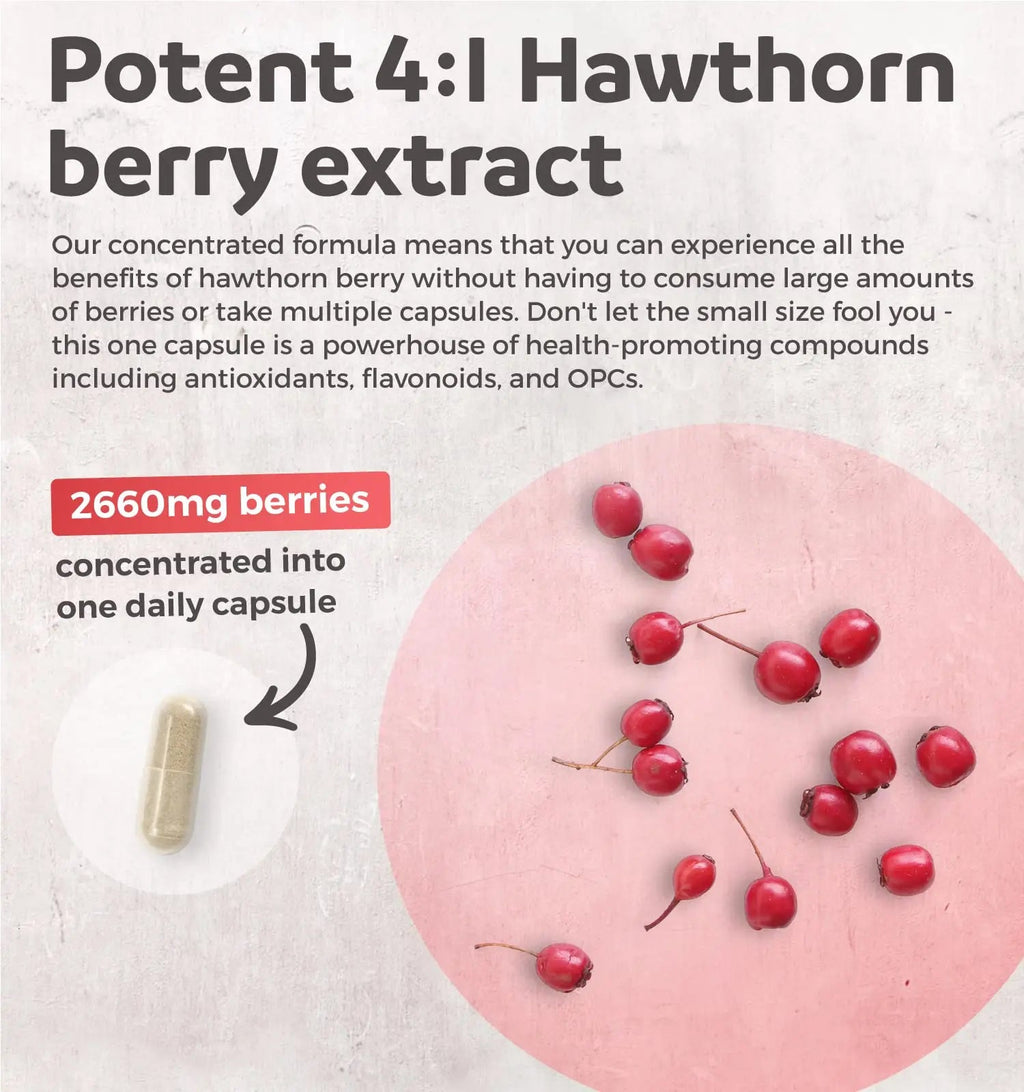 Hawthorn Berry Capsules - 4 Month Supply Digestion & Heart Health Supplement Healths Harmony Au supplements