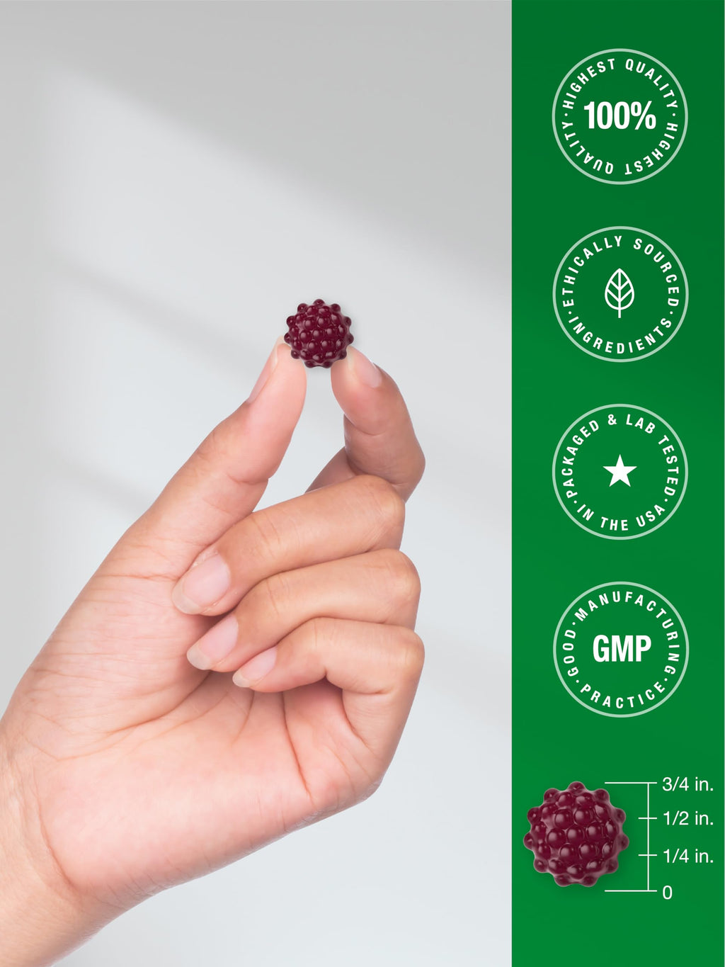 Horbaach Black Elderberry Gummies | 120 Count | Sambucus Extract | with Zinc and Vitamin C | Berry Flavor | Vegan, Non-GMO