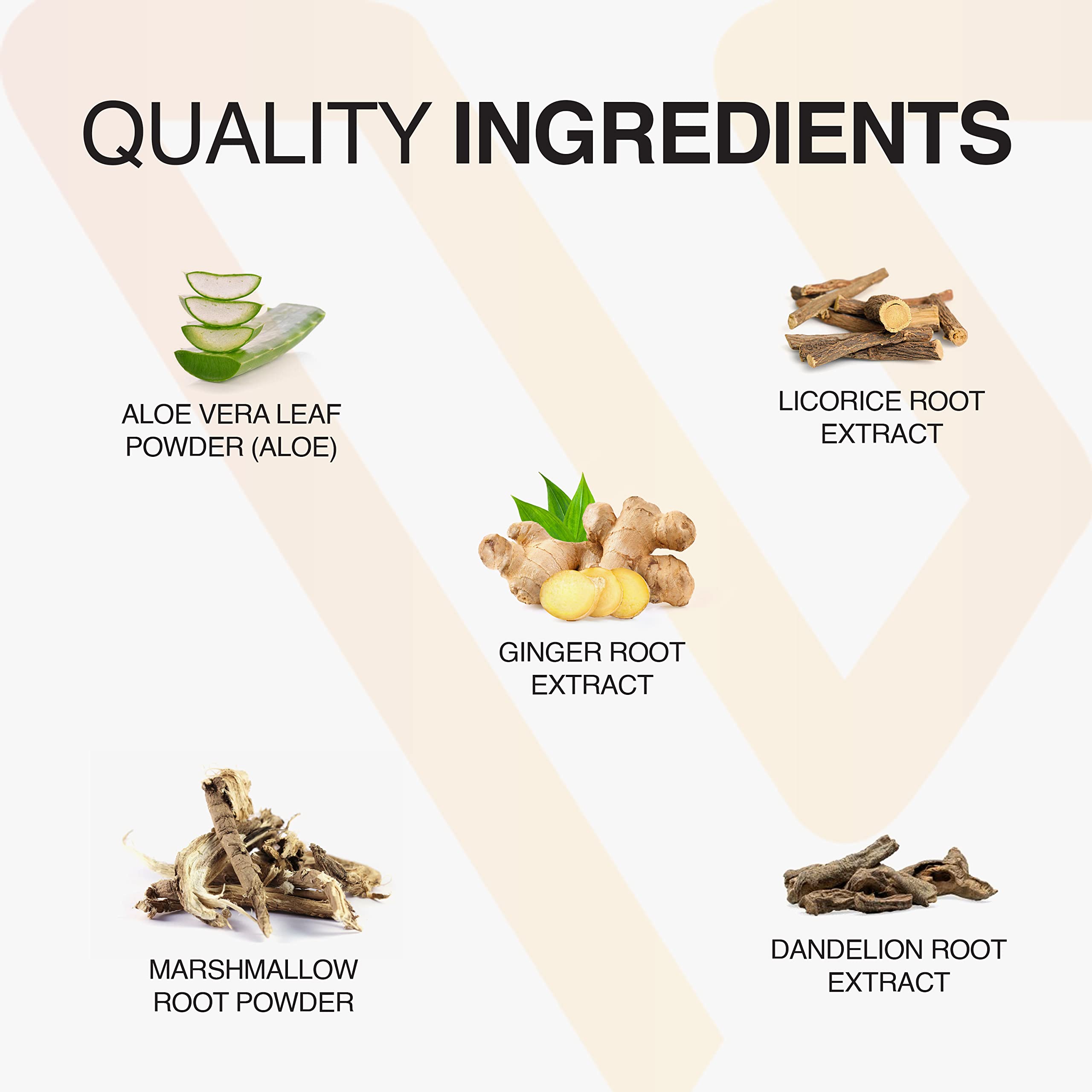 Vatellia Life New from Eaters Digest | Prebiotic | Probiotic | Digestive Support | Gut Soothing | Healthy Gut Lining | Max Nutrient Absorption