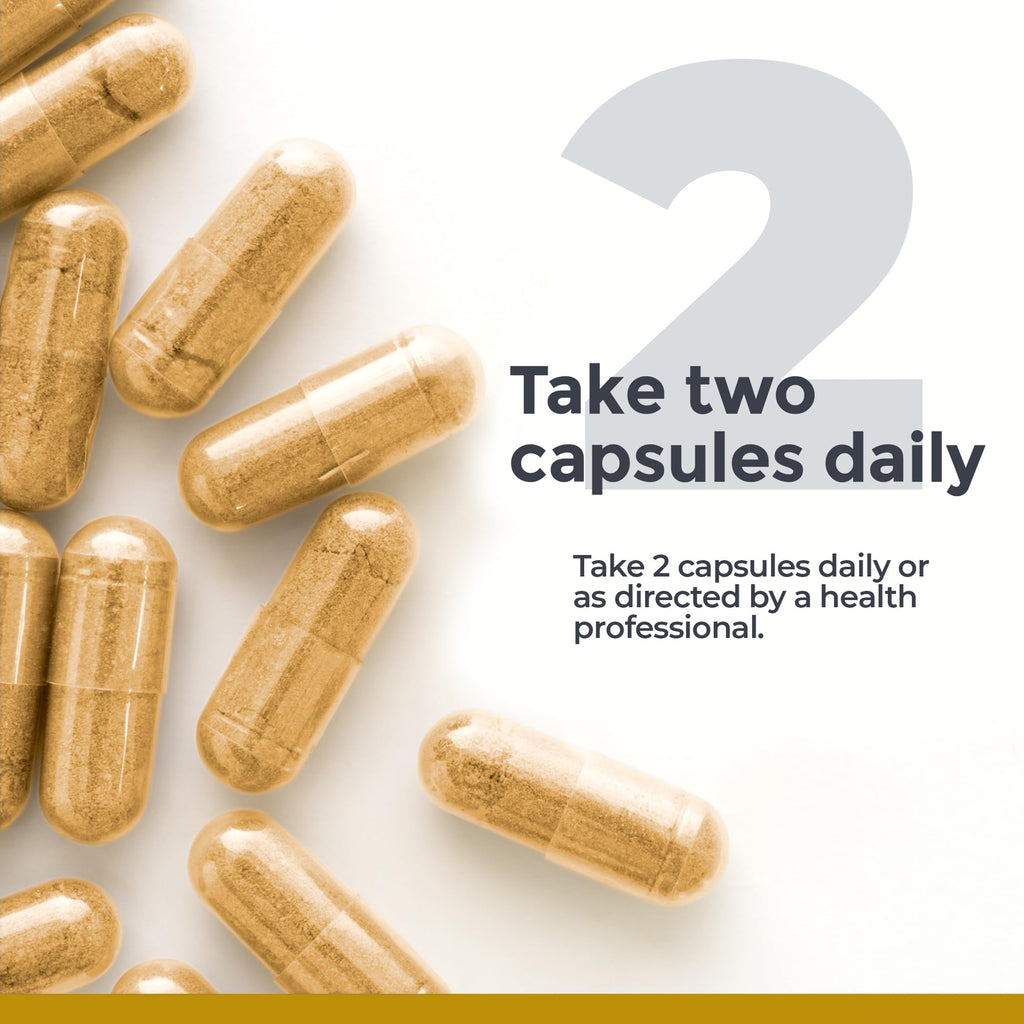 Premier Research Labs Premier Ashwagandha - Pure Supplement for Women & Men with Organic Ashwagandha Root, Herbal Pills for Stress & Sleep Support, Fermented for Absorption - 120 Plant-Based Capsules Premier Research Labs Au supplements