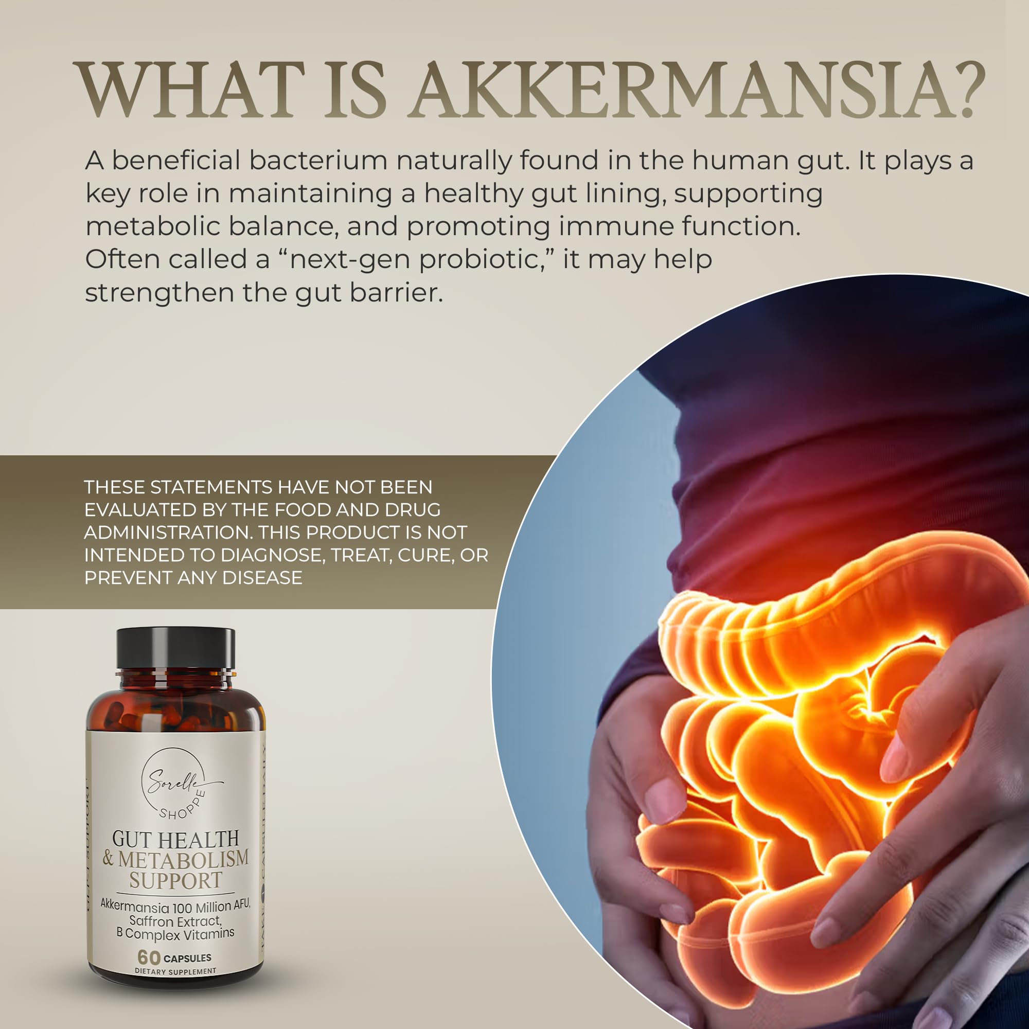 SORELLE SHOPPE Akkermansia Muciniphila Probiotic + Saffron + B Complex | Core Gut Health & Daily Wellness | Mood & Metabolism Support