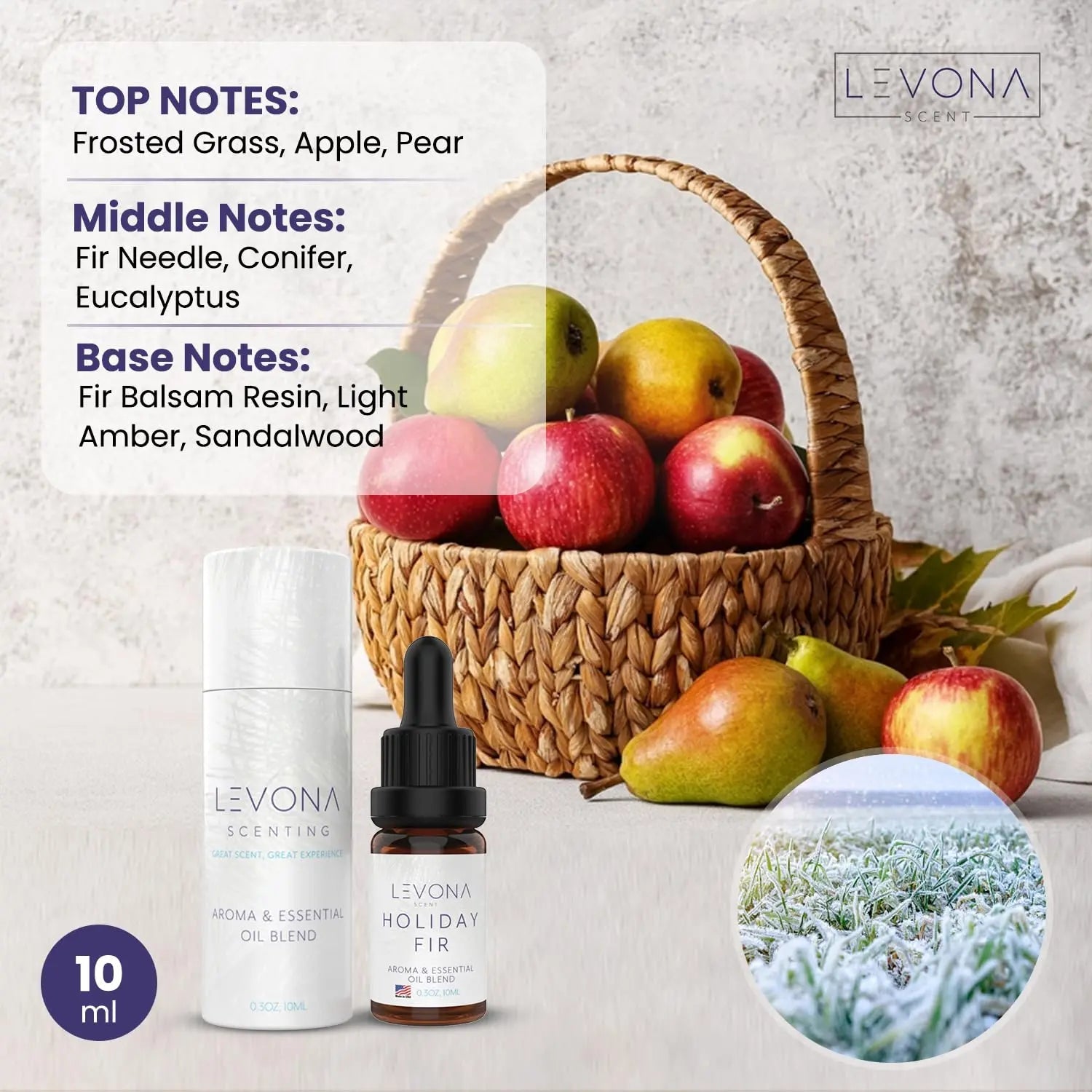 Levona Scent Christmas Essential Oils for Diffuser: Holiday Fir Essential Oil for Diffusers for Home LEVONA SCENT Au supplements