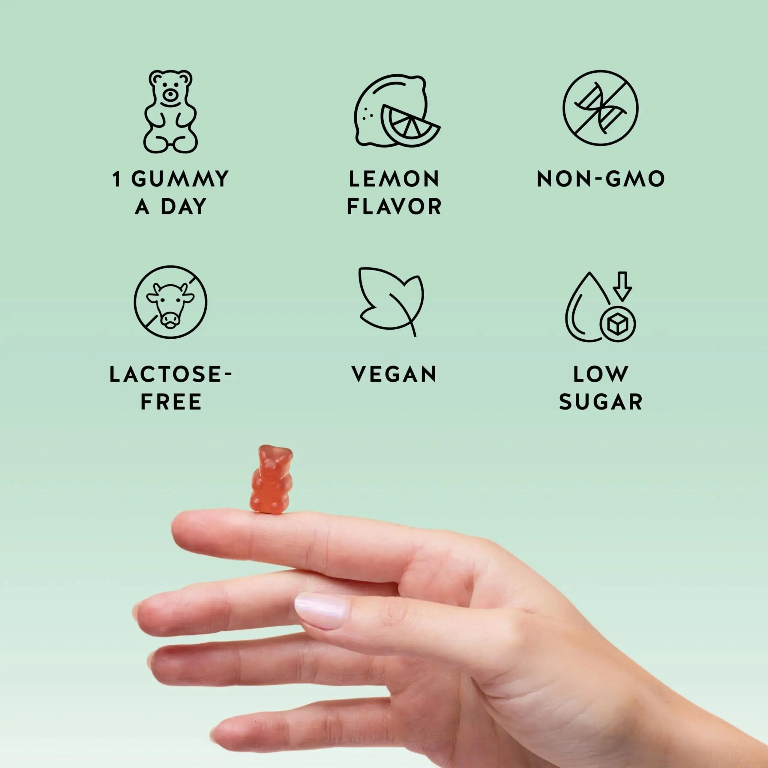 Bears with Benefits Immune Support Gummies – Vitamin C, D, B6 & B12 – Daily Immune Boost – Vegan, Naturally Flavored (30 Gummies) Bears with Benefits Au supplements