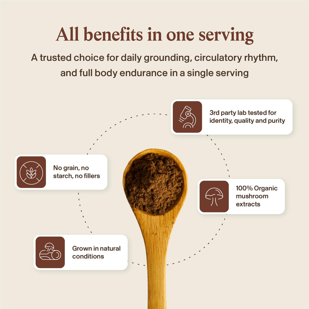 Real Mushrooms Reishi Mushroom Capsules - Handpicked Organic Mushroom Extracts
