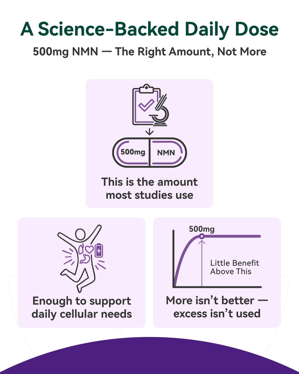 Inner Brightness NMN Supplement 500mg, 99.9% High Purity, Supports NAD+ Levels & Cellular Energy, 5-in-1 Formula with Resveratrol & Astaxanthin, Non-GMO, Gluten-Free, 60 Capsules Inner Brightness Au supplements