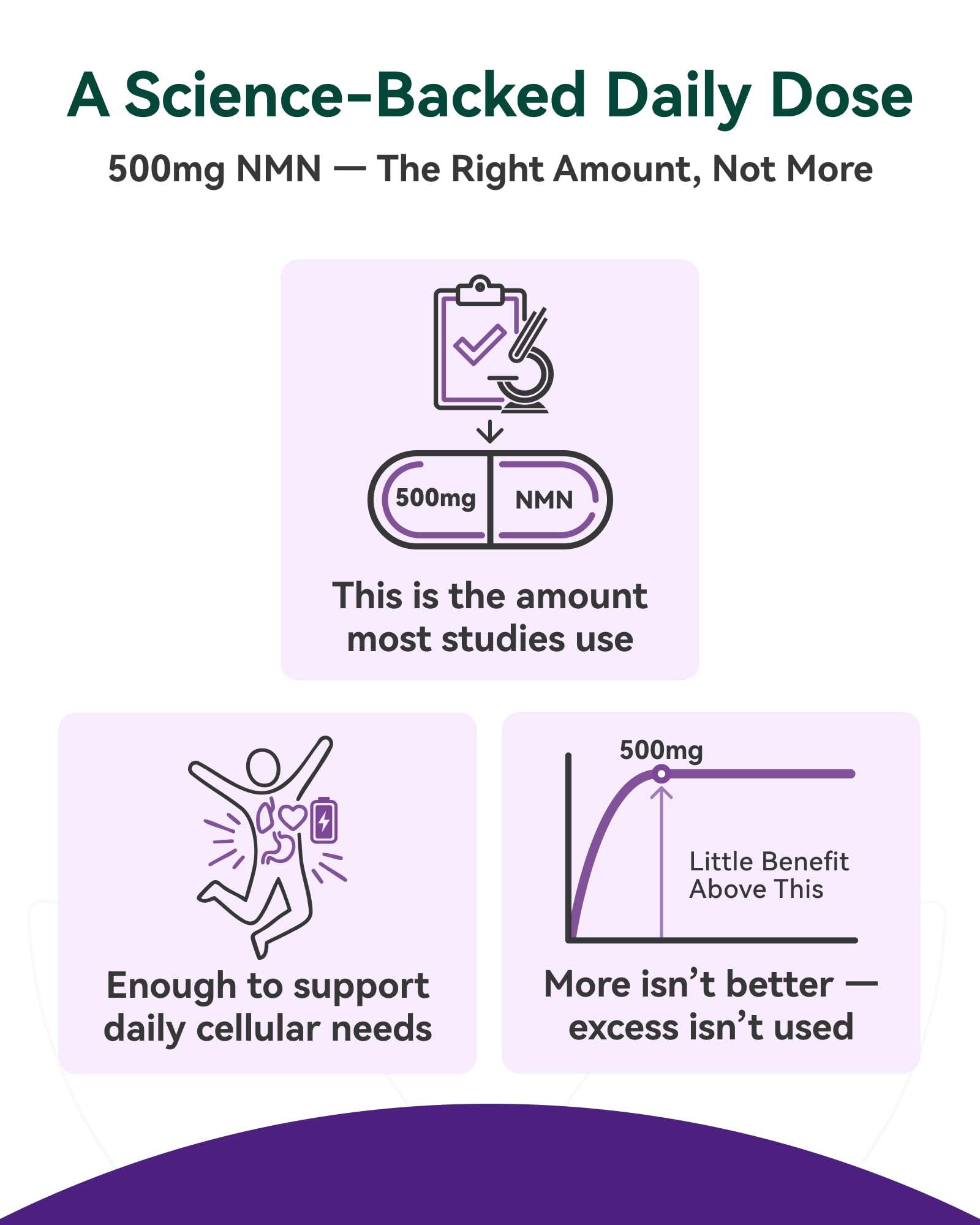 Inner Brightness NMN Supplement 500mg, 99.9% High Purity, Supports NAD+ Levels & Cellular Energy, 5-in-1 Formula with Resveratrol & Astaxanthin, Non-GMO, Gluten-Free, 60 Capsules Inner Brightness Au supplements