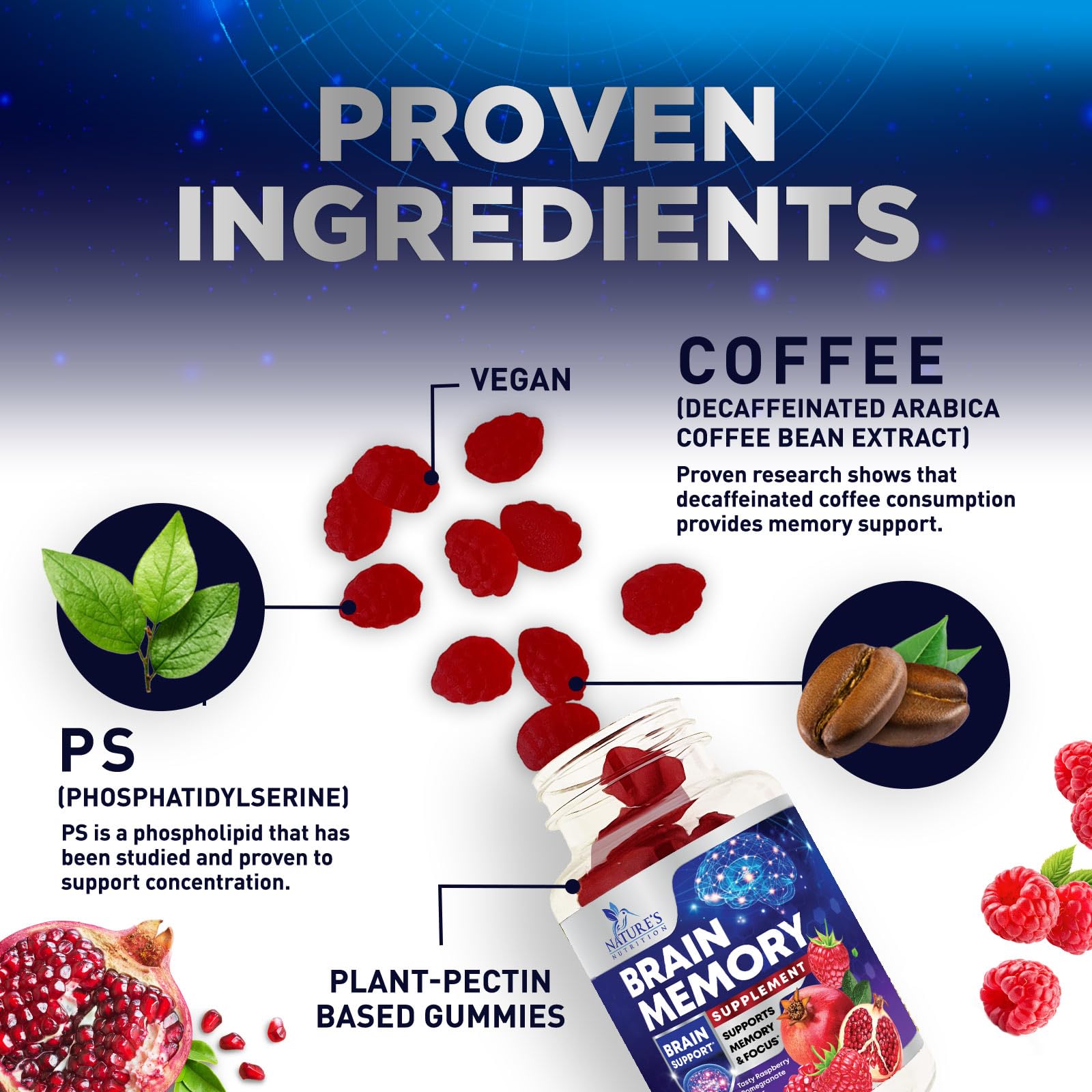 Brain Supplements for Memory & Focus Gummies - Brain Health Clarity with B6 B12 & Phosphatidylserine - Natural Nootropics Cognitive Concentration & Alertness Support Vitamins - 60 Vegan Gummies Nature's Nutrition Au supplements
