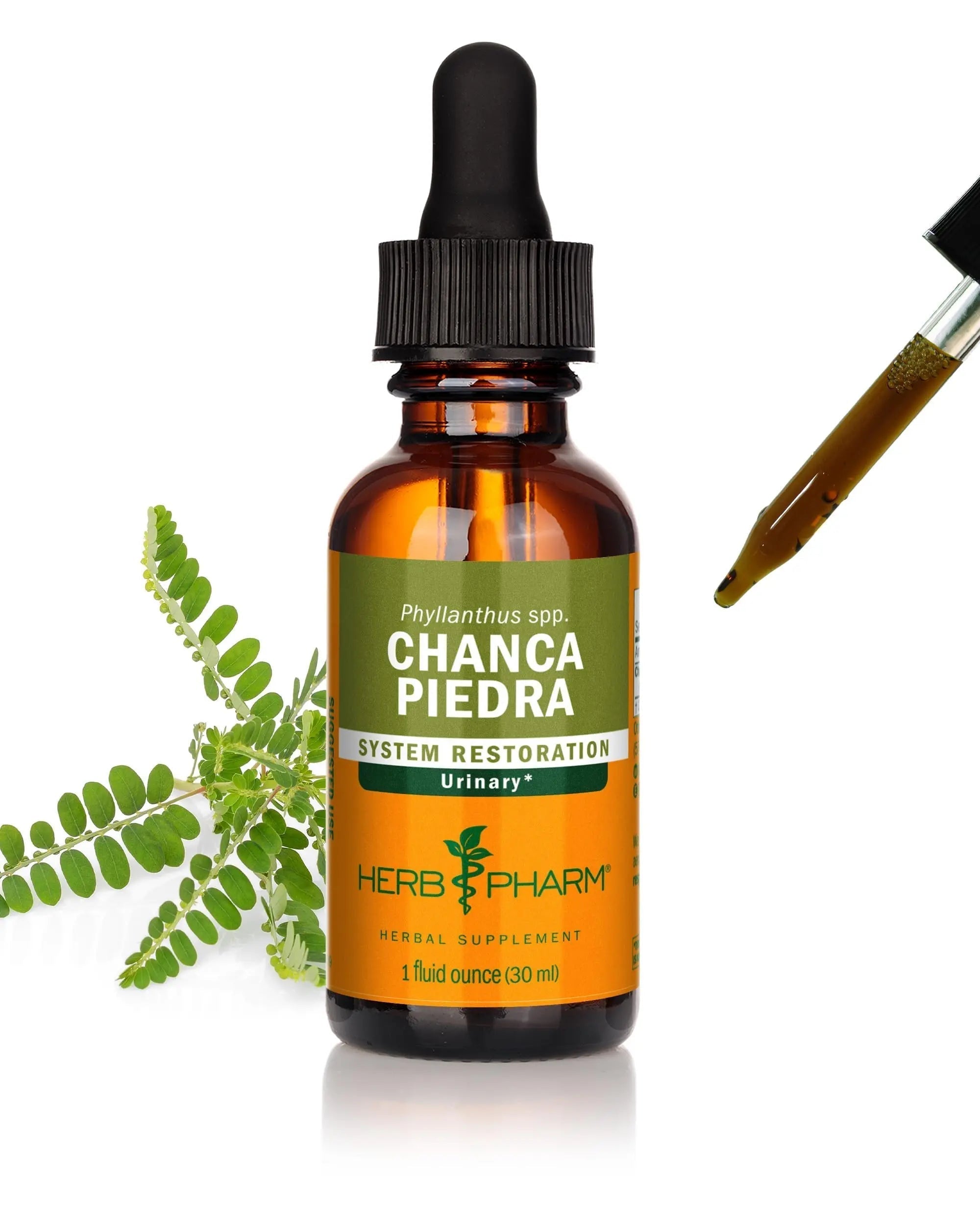 Herb Pharm Chanca Piedra Liquid Extract for Urinary System Support, 1 Fl Oz Herb Pharm Au supplements