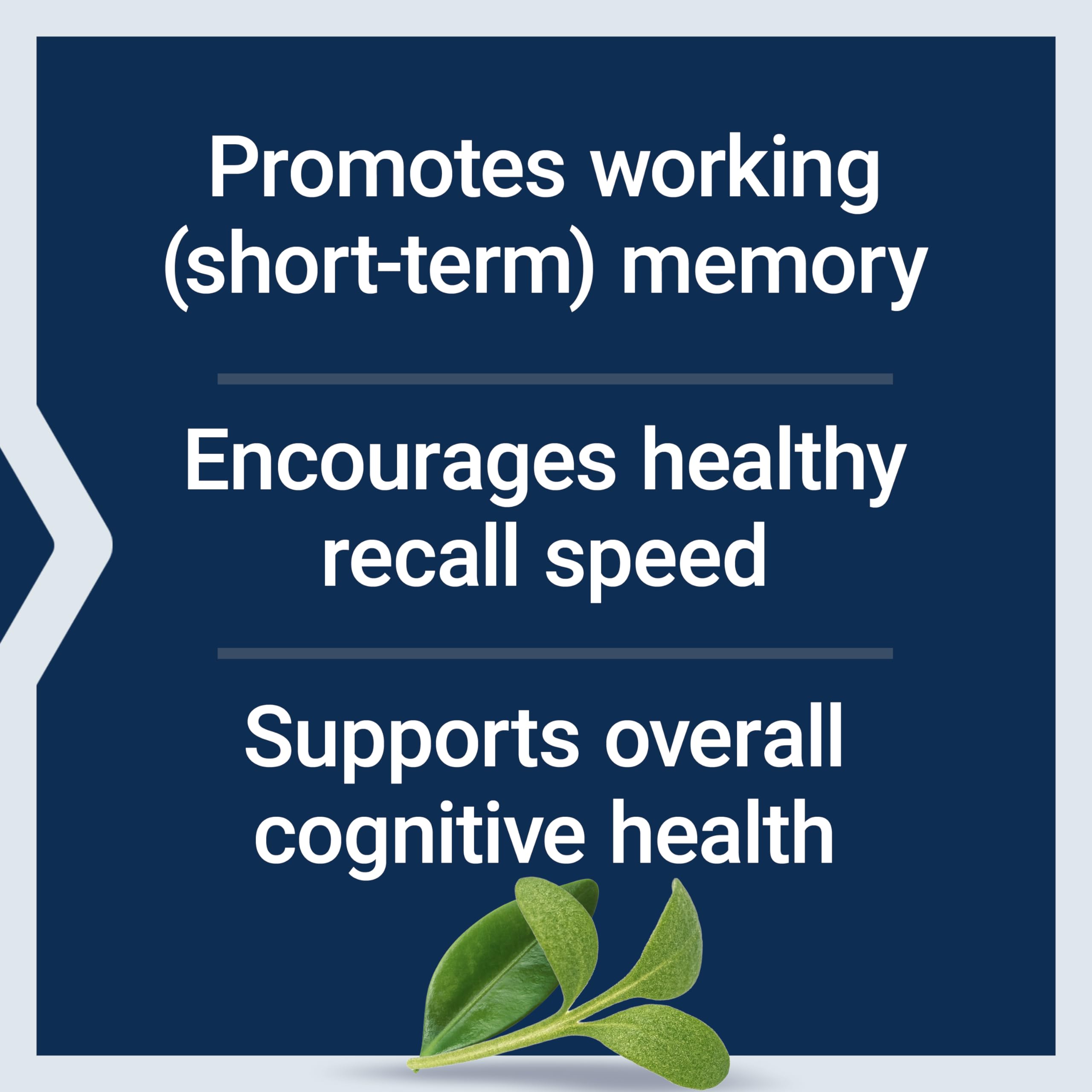 Life Extension Neuro-Mag Magnesium L-Threonate Powder (Tropical Punch) - Ultra-Absorbable Magnesium - Supports Memory, Focus, Cognitive Function & Mood -