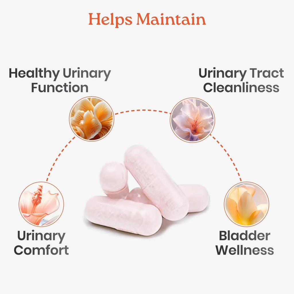 NewLife Naturals D-Mannose Capsules | w/Cranberry and Hibiscus Extracts | Natural Urinary Tract Health Supplement | 1400mg Pure Veggie Powder | 60 Veggie Capsules NewLife Naturals Au supplements