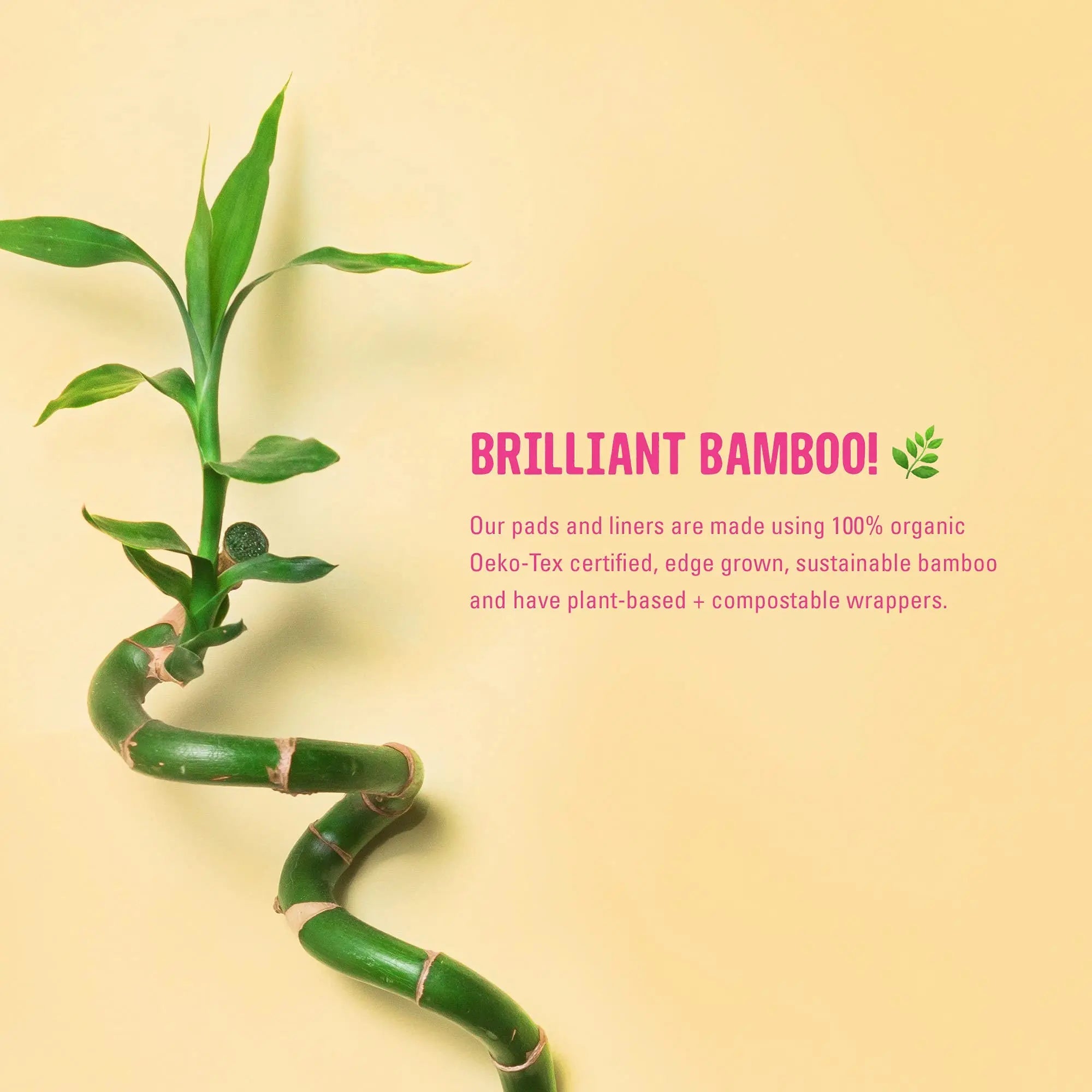 FLO - Organic Bamboo Daily Panty Liners, Plant-Based Cotton, Biodegradable FLO Au supplements