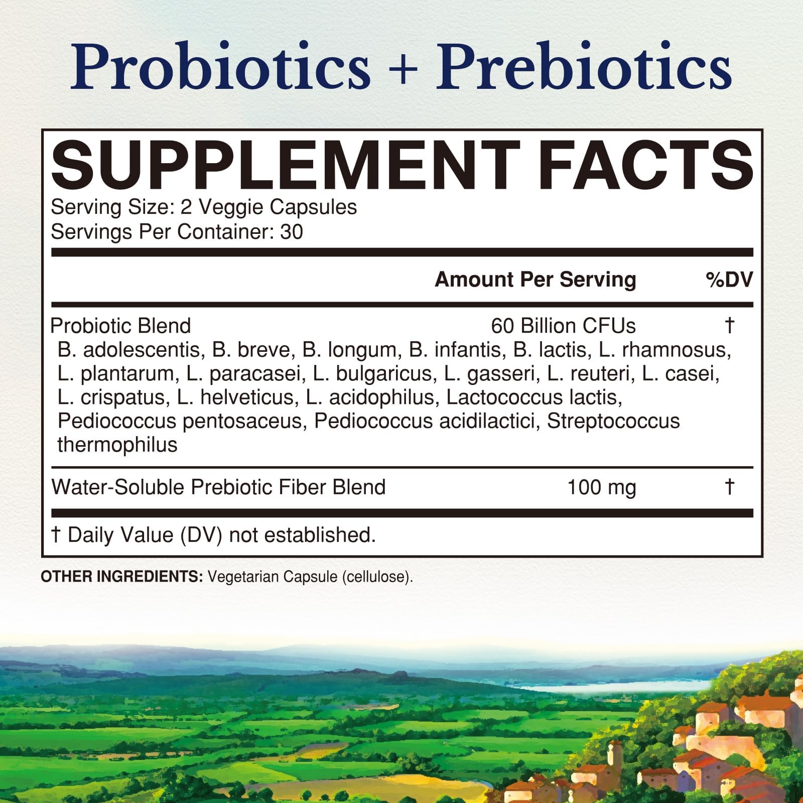 Vitalitown Probiotics + Prebiotics | 60 Billion CFUs 19 Strains | 60 Delayed Release Veg Caps | Shelf Stable, Prebiotics and Probiotics | Digestive Health