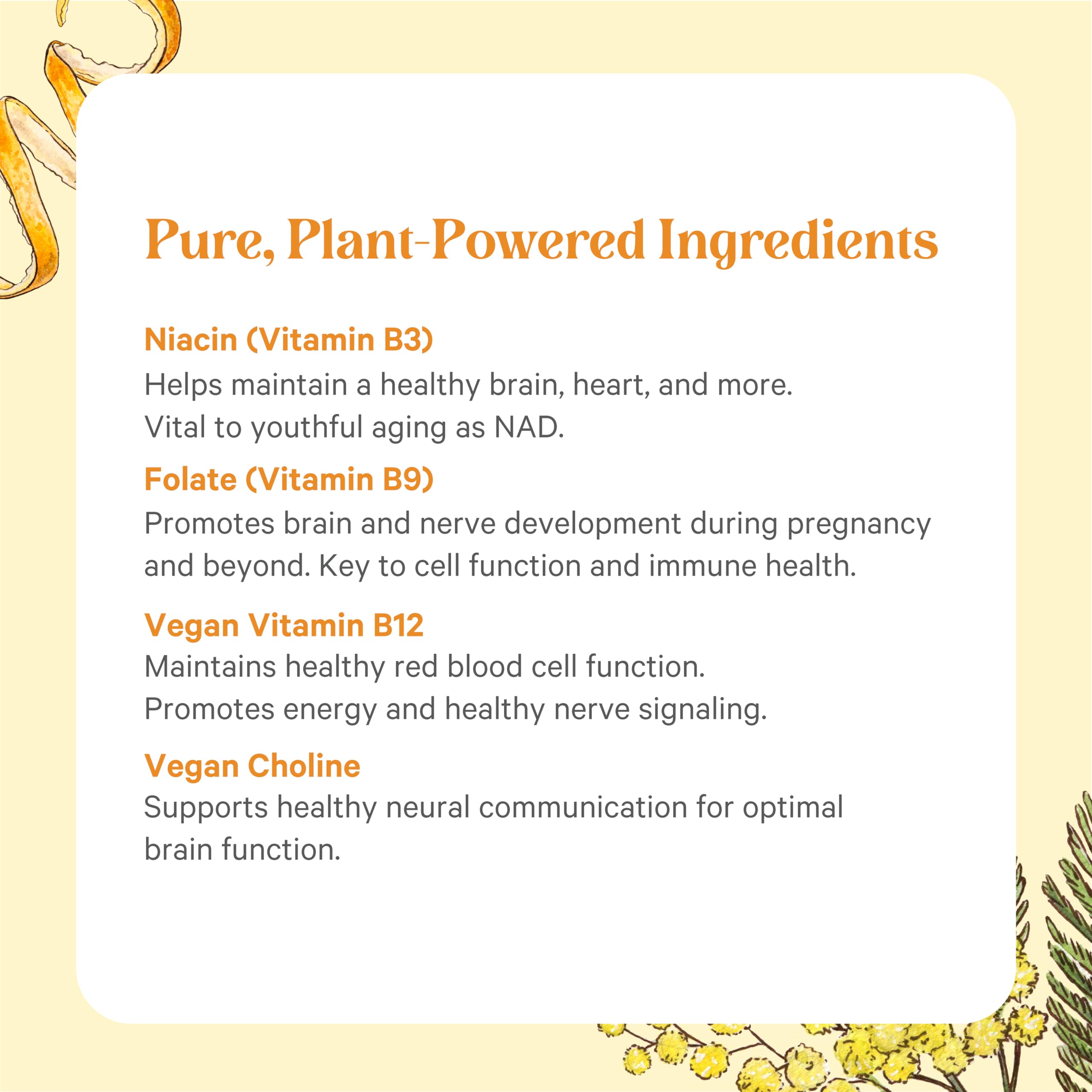 PURE SYNERGY Super B-Complex | Vitamin B Complex Made with Organic Whole Foods | Vegan Supplement with Natural Vitamin B12, Niacin, and Folate | for Energy