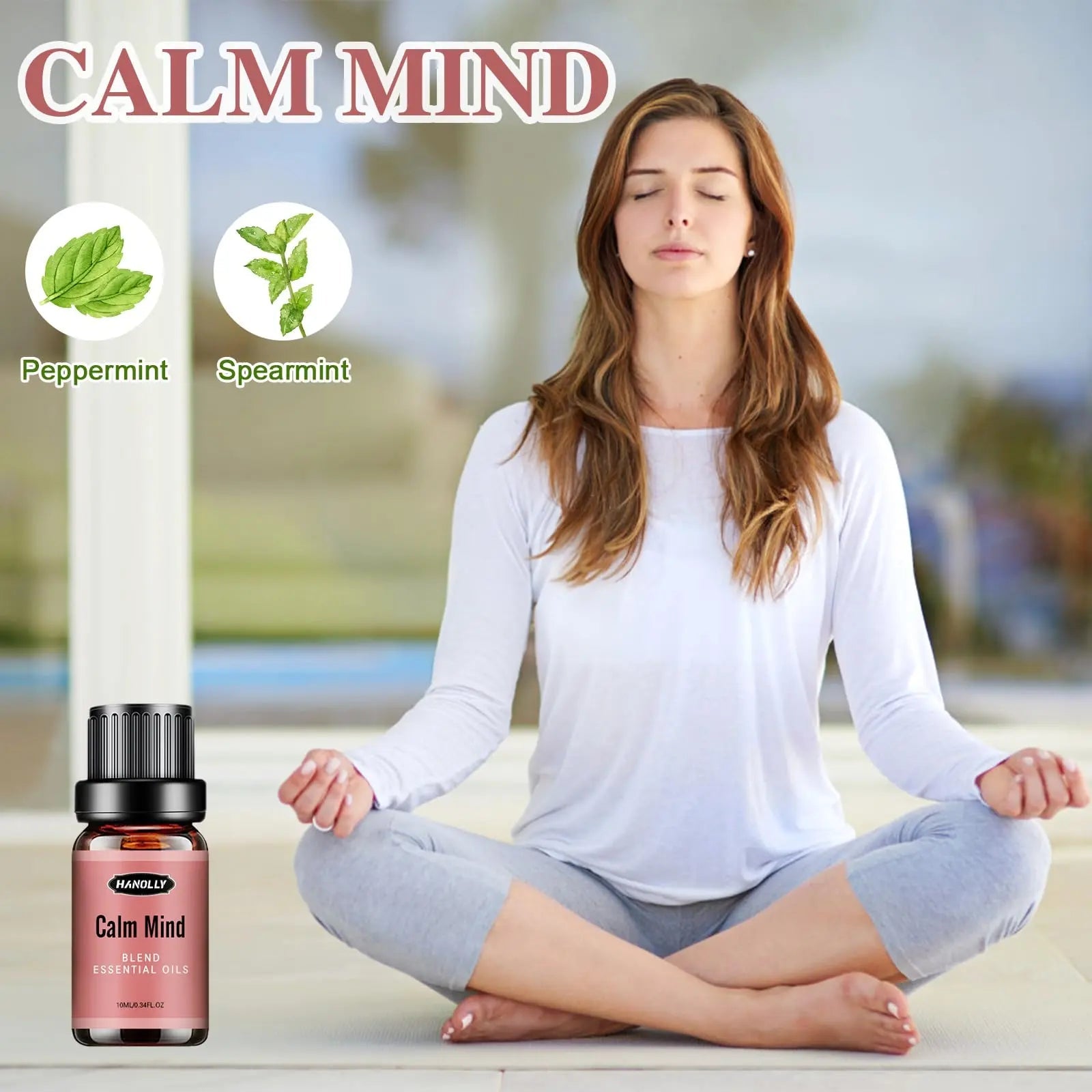 Essential Oils Blend Set, Fragrance Oil Aromatherapy Essential Oils Kit for Diffuser (6x10ML) Hanolly Au supplements