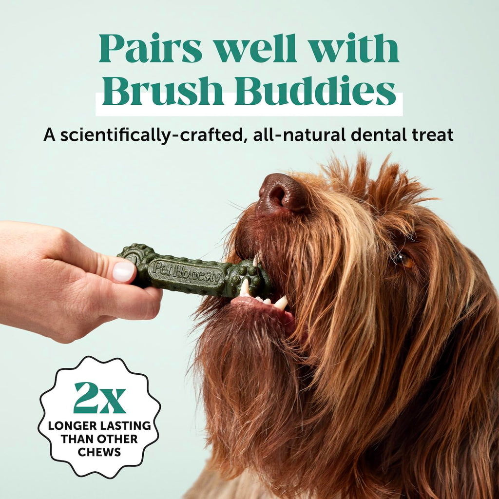 Dog Breath Freshener Dental Powder for Teeth Cleaning Plaque Off, Dental Care for Dogs, Tartar Remover for Teeth with Natural Herbal Blend + Postbiotics (Mint - 30 Servings) Pet Honesty Au supplements