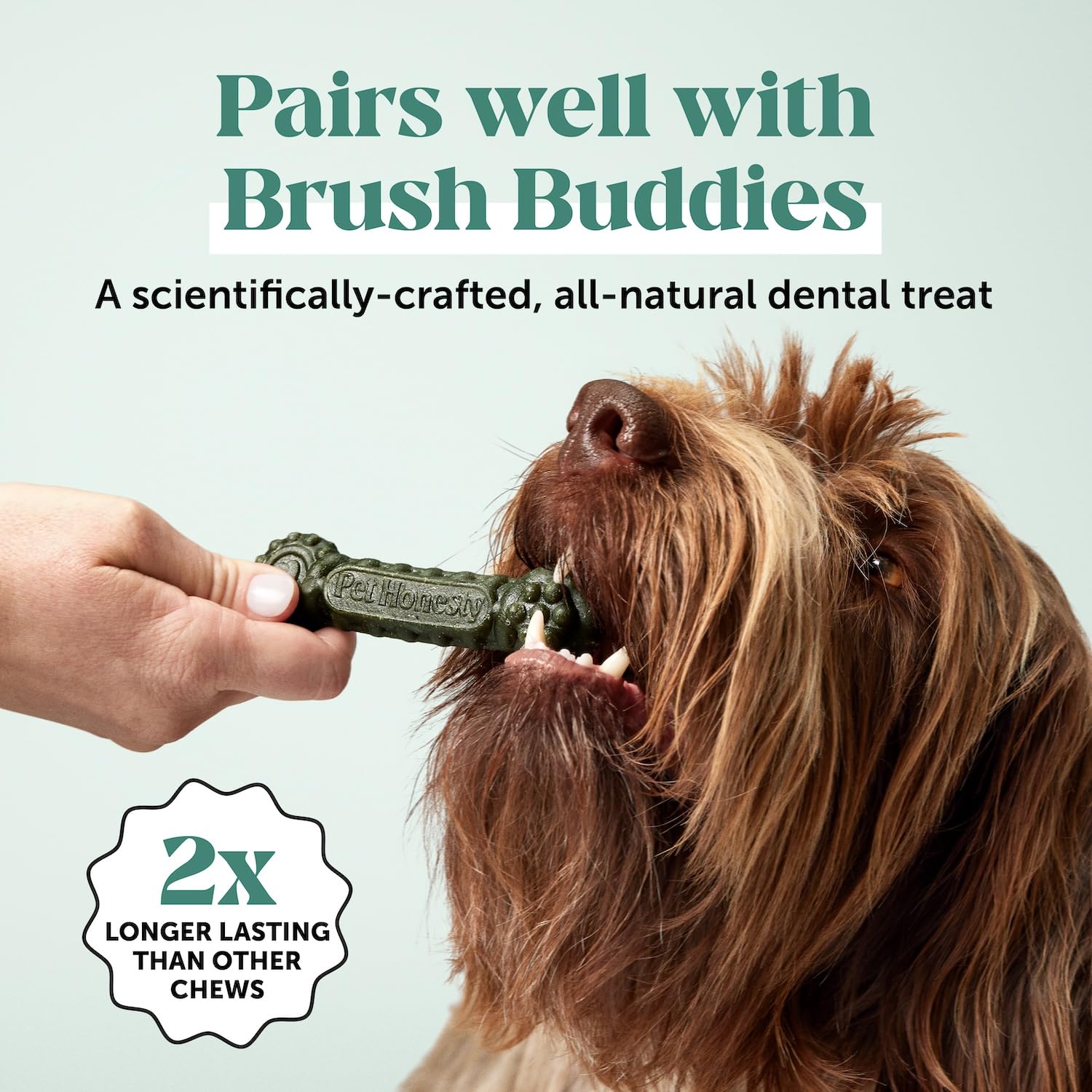 Dog Breath Freshener Dental Powder for Teeth Cleaning Plaque Off, Dental Care for Dogs, Tartar Remover for Teeth with Natural Herbal Blend + Postbiotics (Mint - 30 Servings) Pet Honesty Au supplements